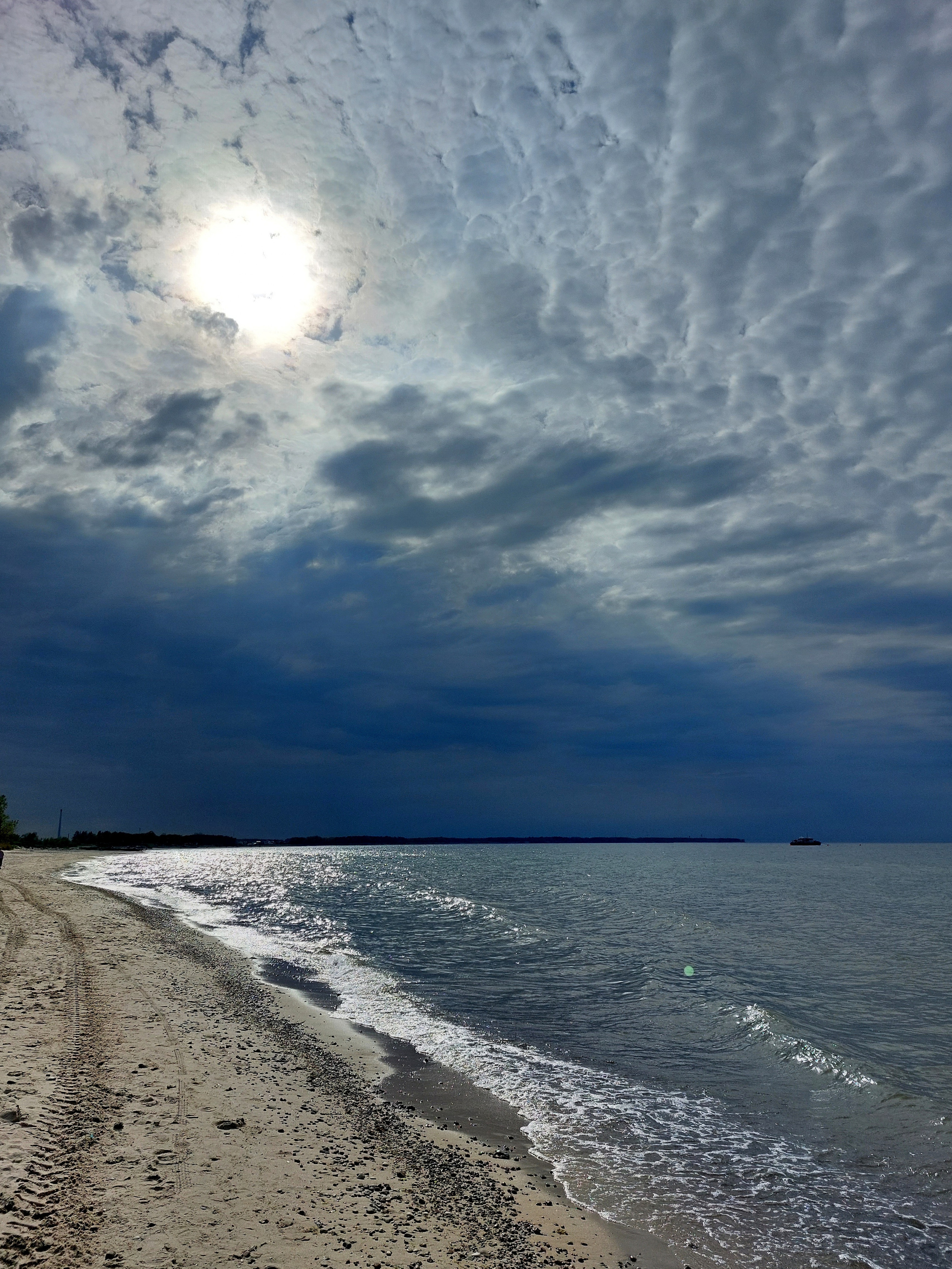 Природа края. Экскурсии по Калининграду