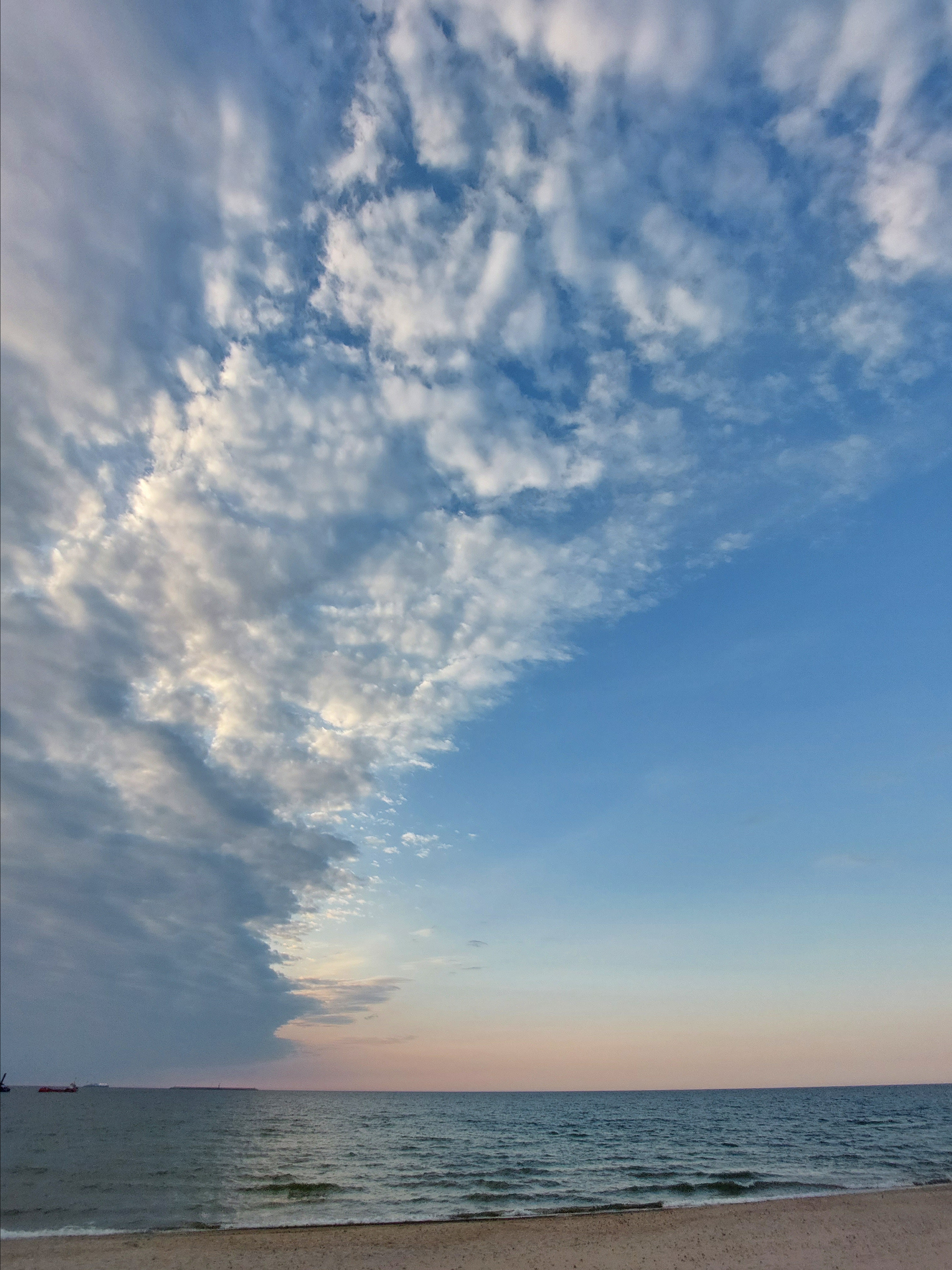 Природа края. Экскурсии по Калининграду