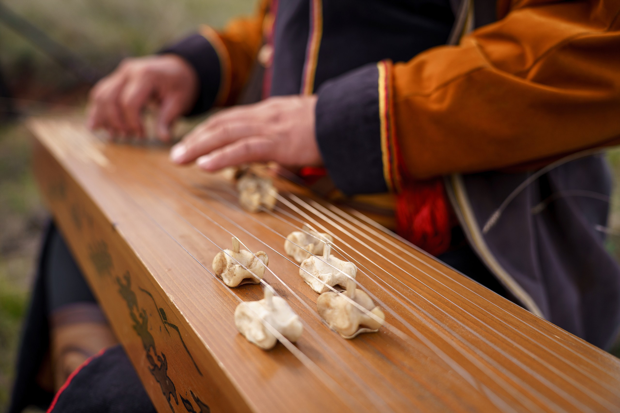 Струны степи. Фотограф в Красноярске Нерозя Александр. Пейзаж, природа, портрет