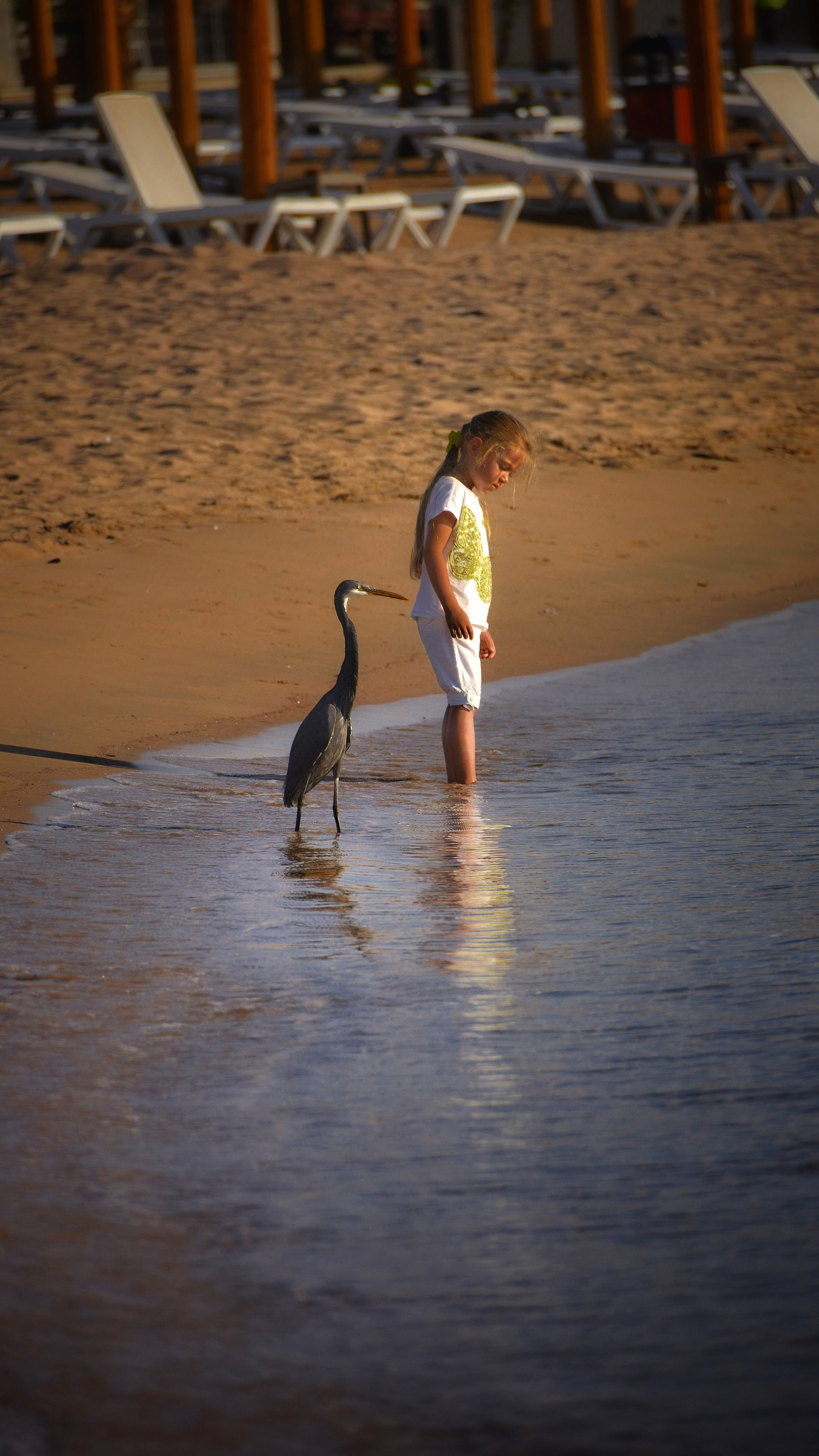 Мои работы. Фотограф Ваших событий 📸