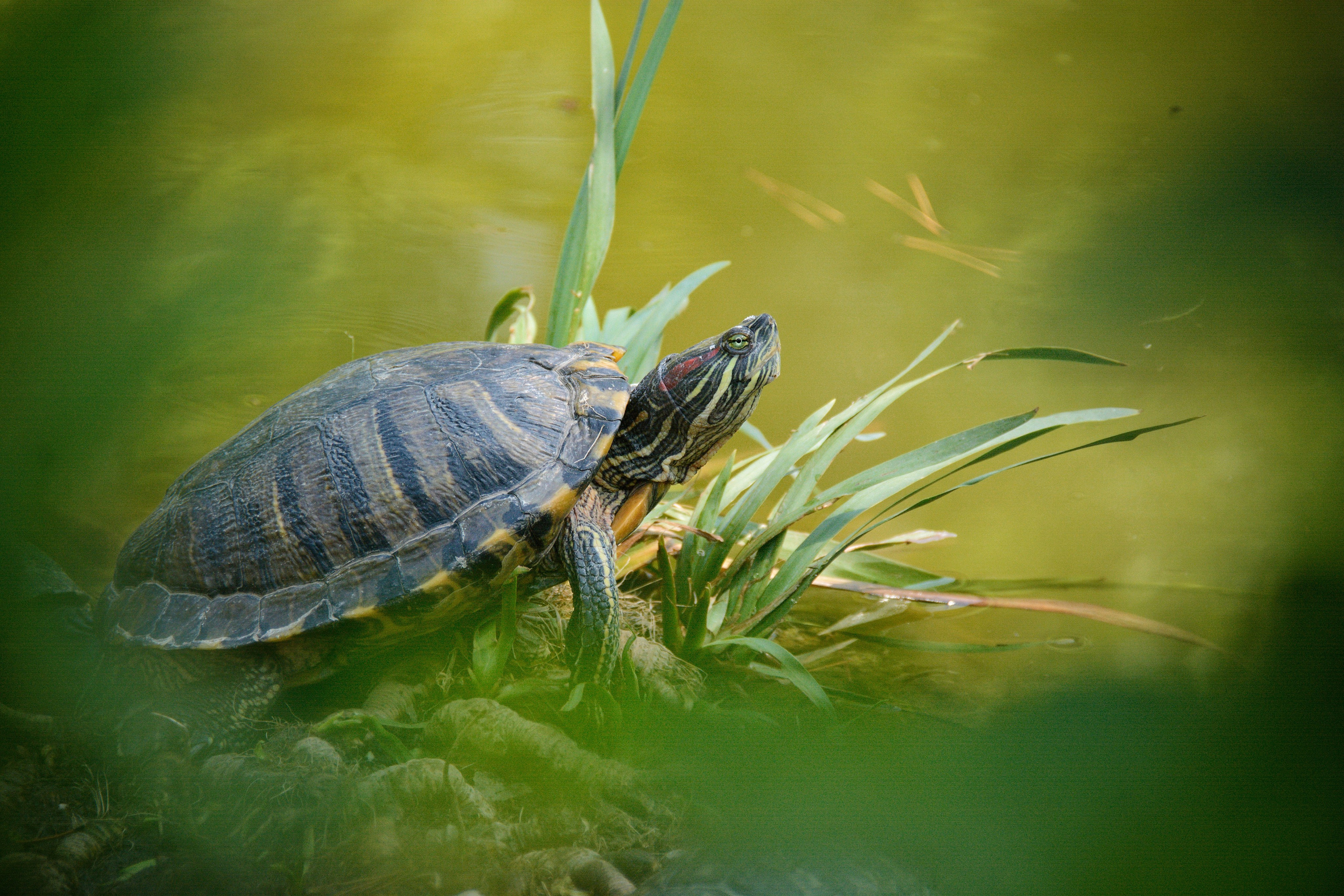 Мои работы. Фотограф Ваших событий 📸