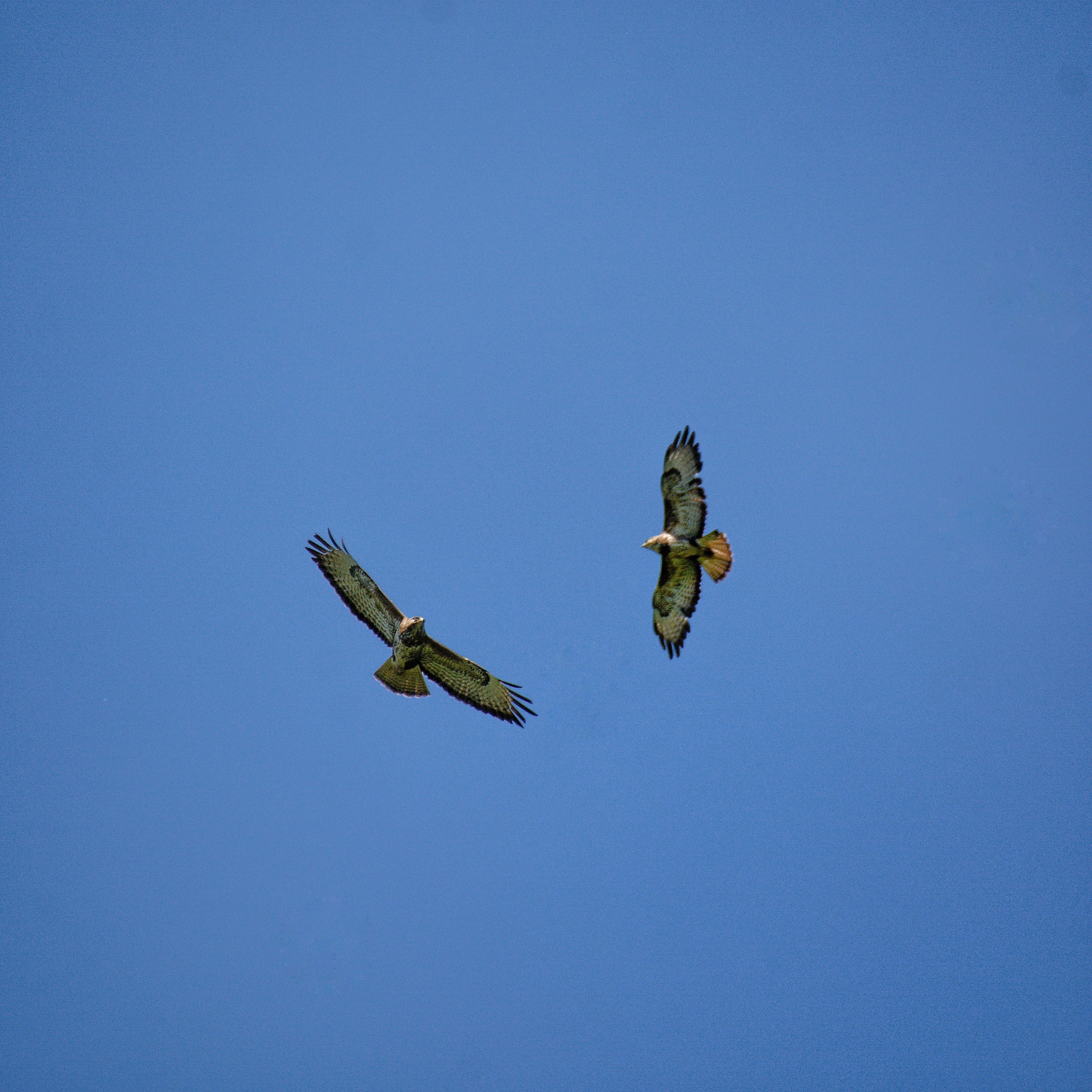 Мои работы. Фотограф Ваших событий 📸