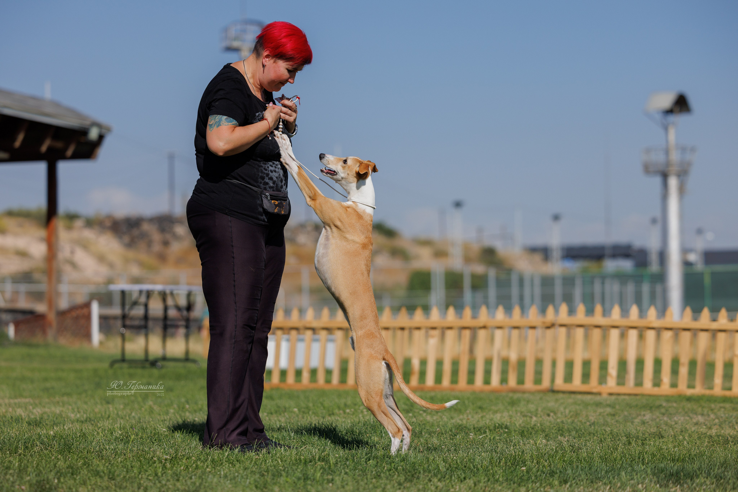 Ереван 3хCACIB 23-25.06.2025. Фотограф-анималист Юлия Германика