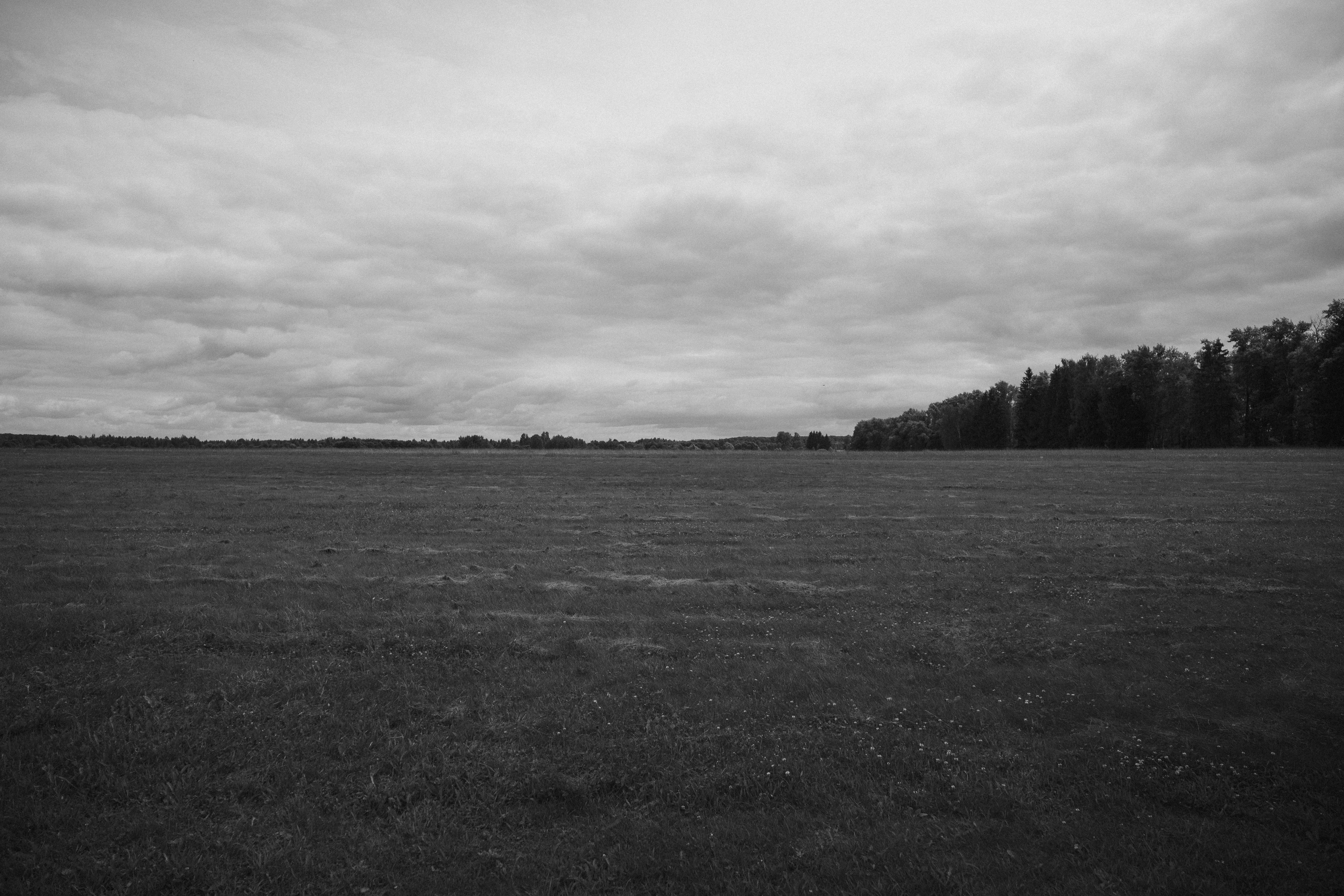 Intemporel. F11 production