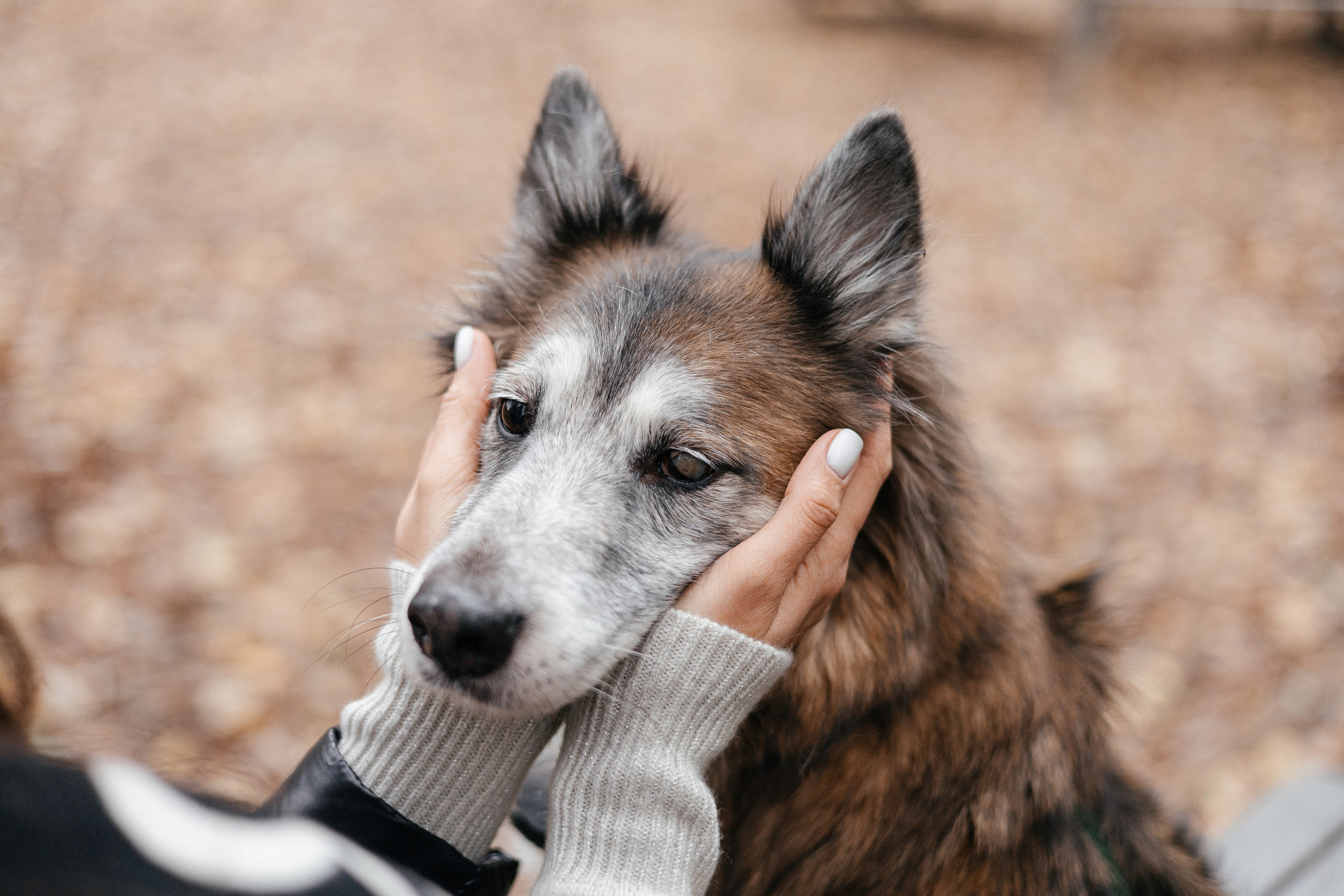 Аня и Ириска. Фотограф Анна Луценко Москва
