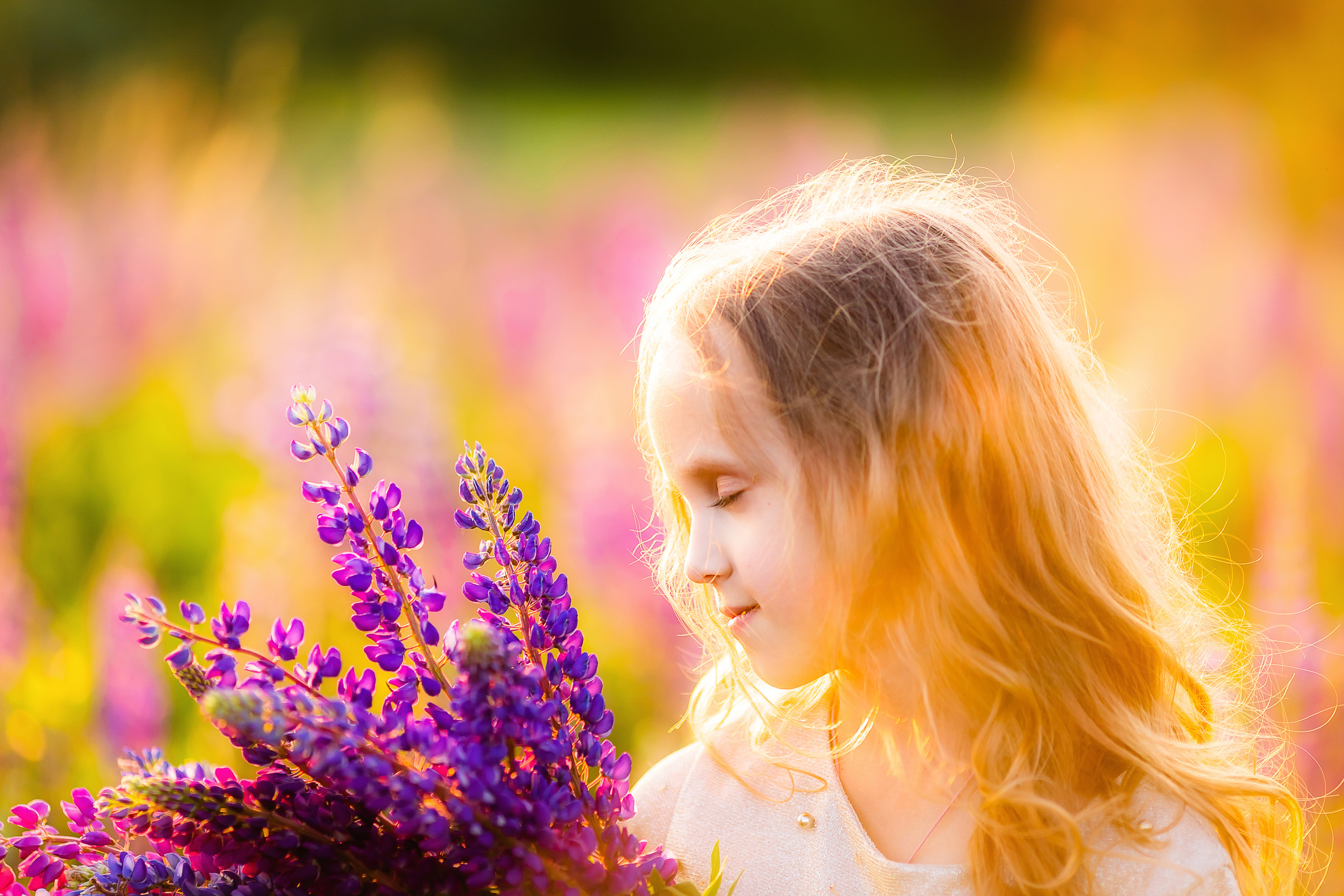 Люпины. Семейный и свадебный фотограф в Чебоксарах и Новочебоксарске Ирина Юрь