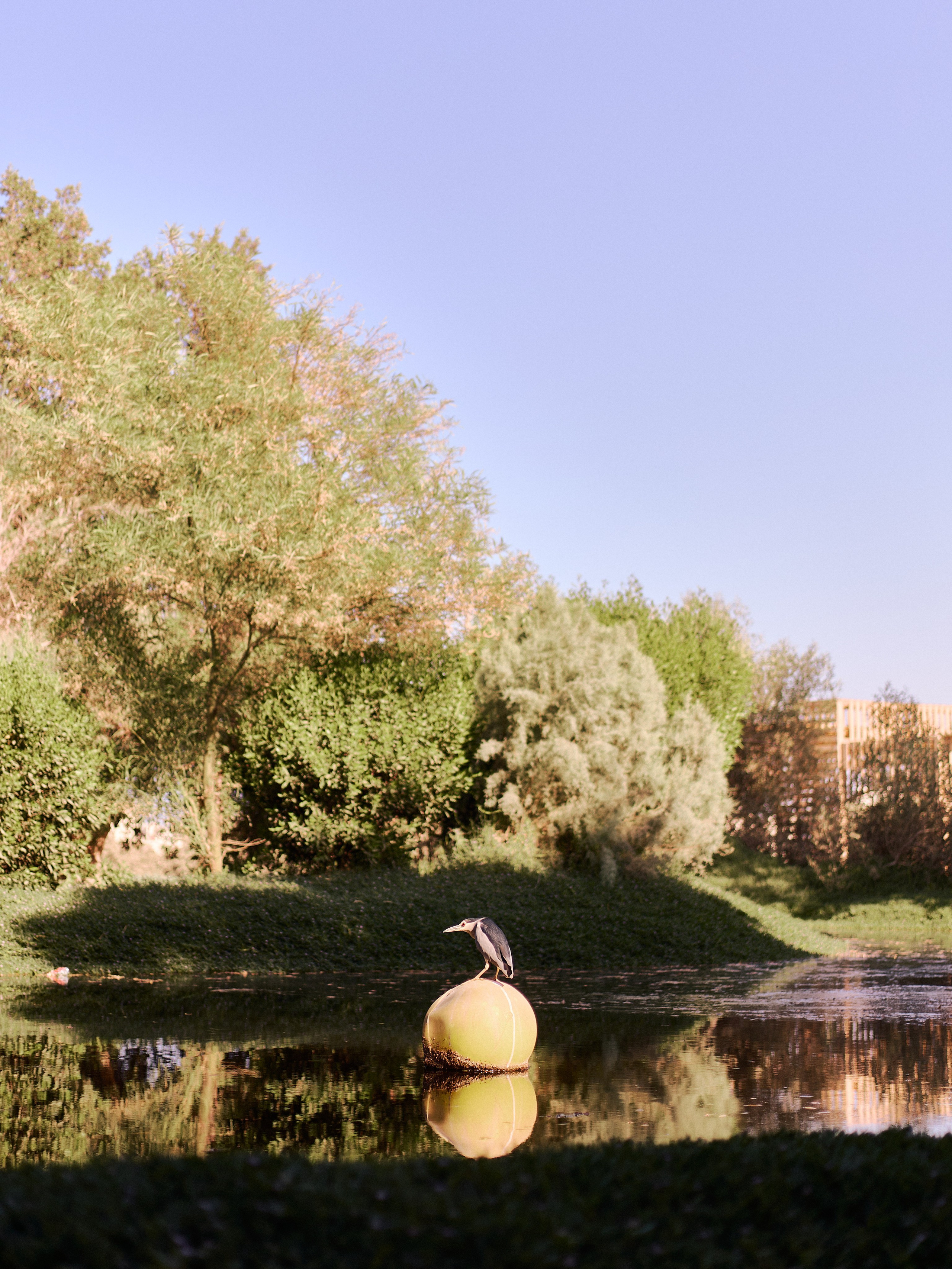 Другое 3. Jorgis Talè — photographer, kind person, teacher of arts and other mag