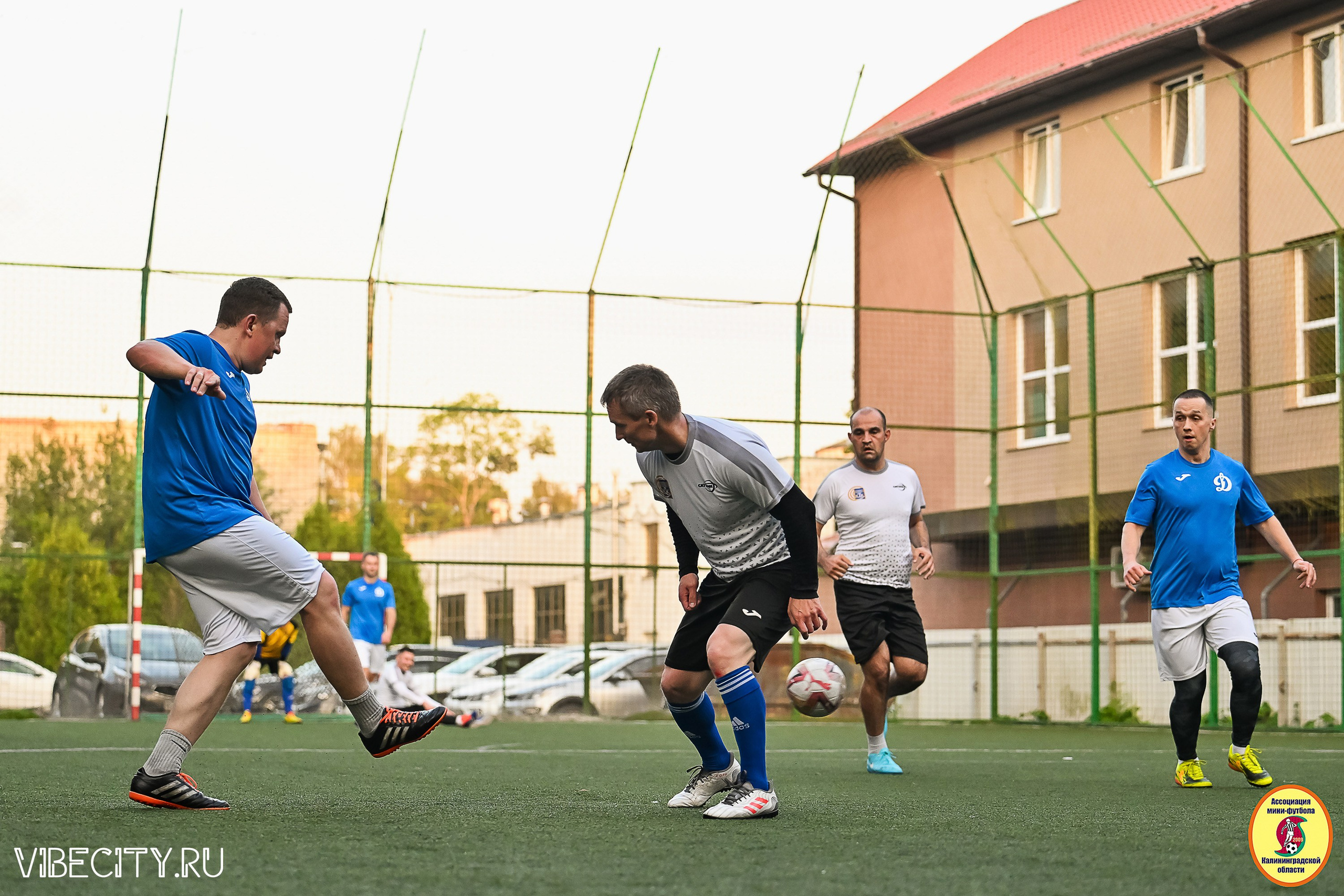 ИГРЫ ПЛЕЙ-ОФФ ПЕРВОГО ДИВИЗИОНА МИНИ-ФУТБОЛЬНОЙ ЛИГИ. VIBECITY.RU Вайб Сити Ру Фоторепортажи Фотоотчеты Калининград