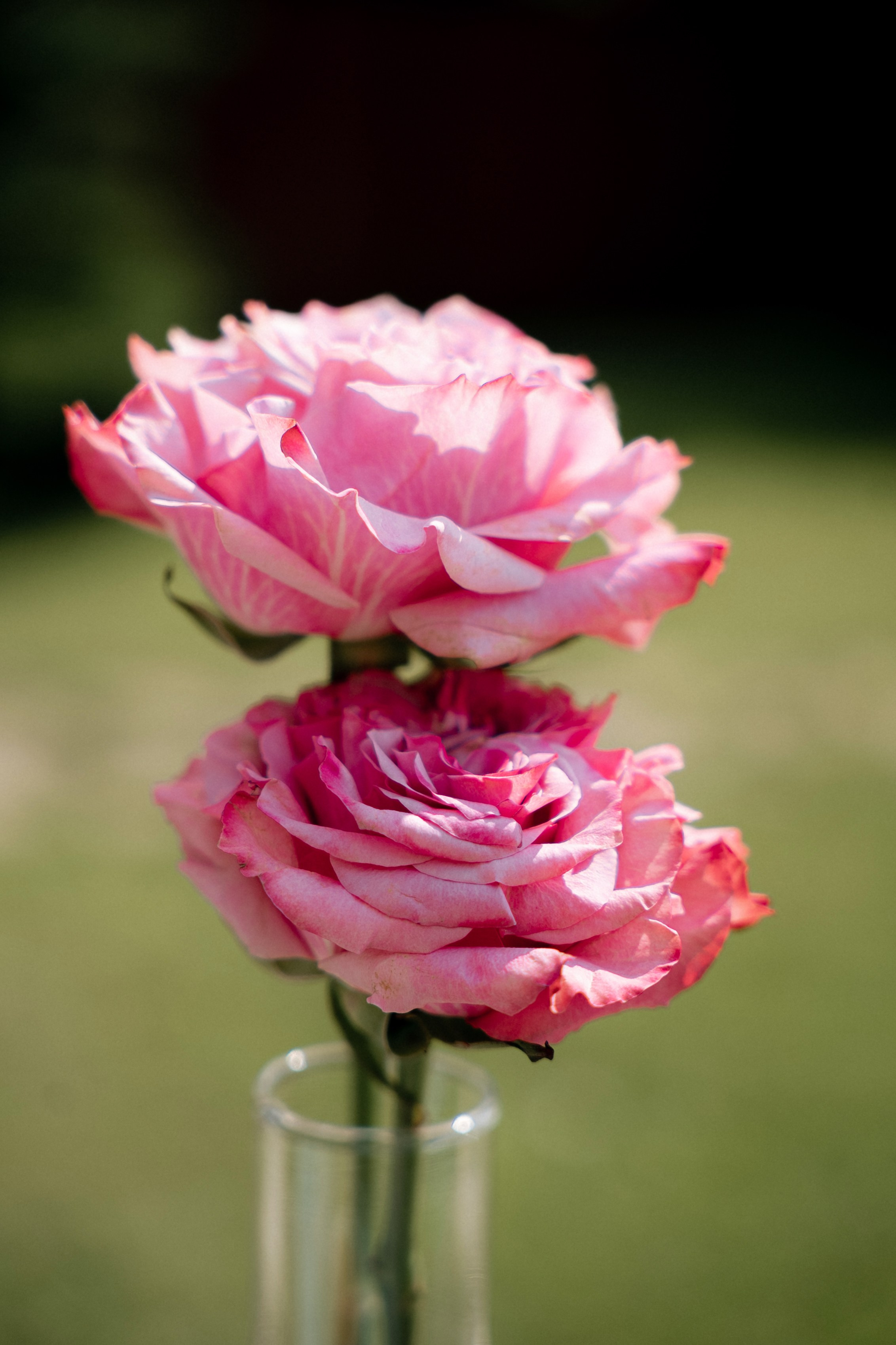 K+A Полный день. Сокращено. Семейный и портретный фотограф в Саратове Сахарова Маша