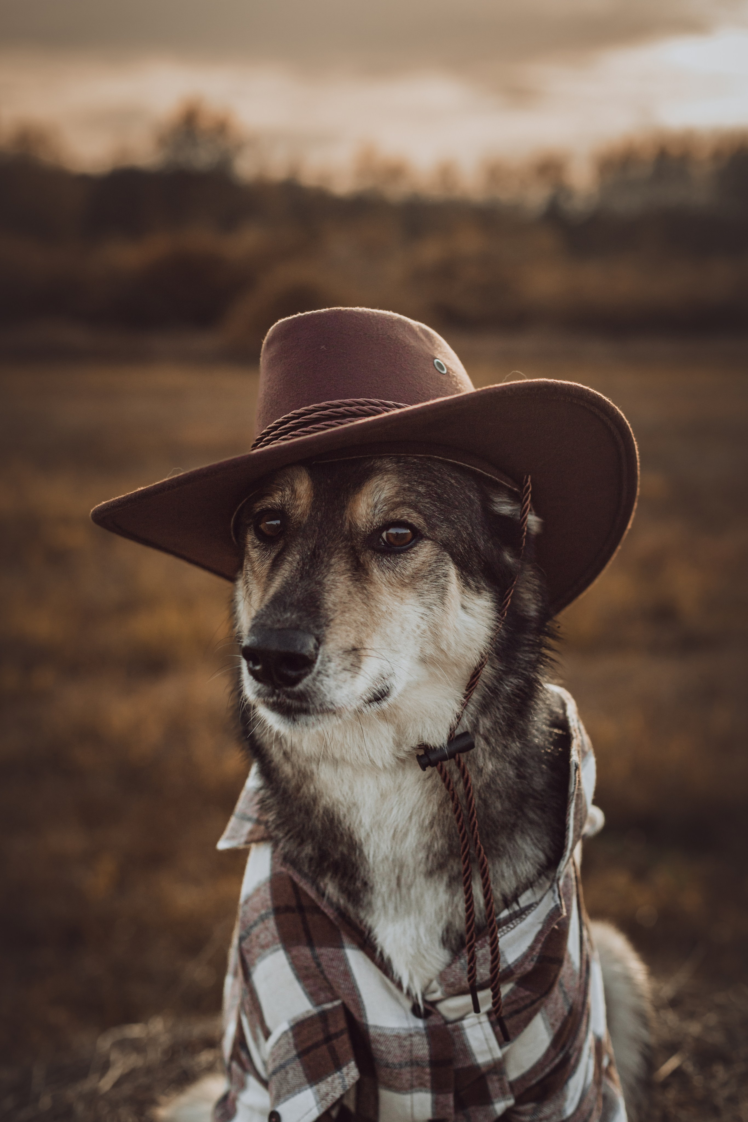 Кантри Дюк. Фотограф-анималист Татьяна Степанова