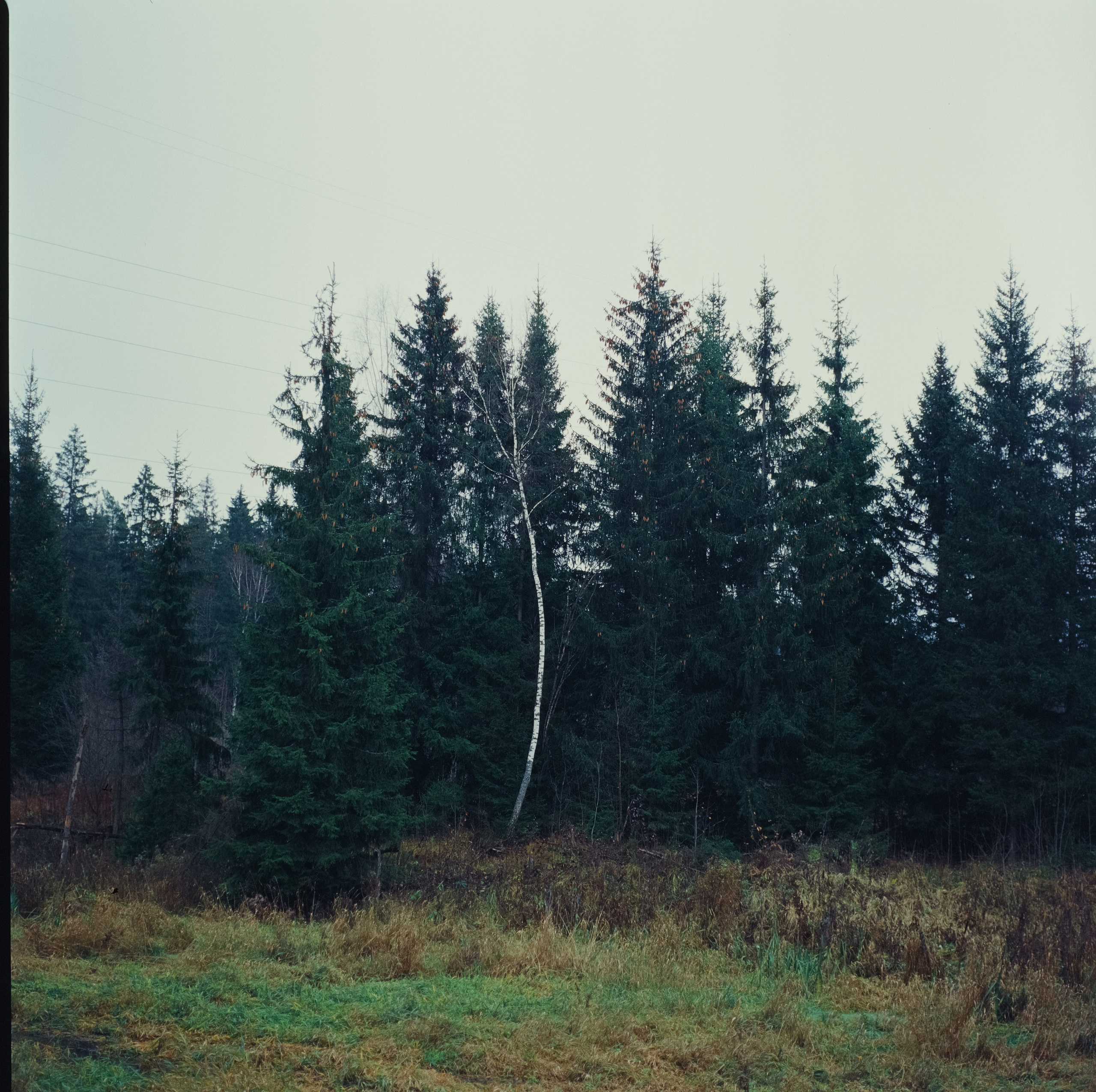 Kowa Super 66 / Kowa 85 mm f2.8 + Kowa 55 mm f3.5 / Kodak Ektachrome E