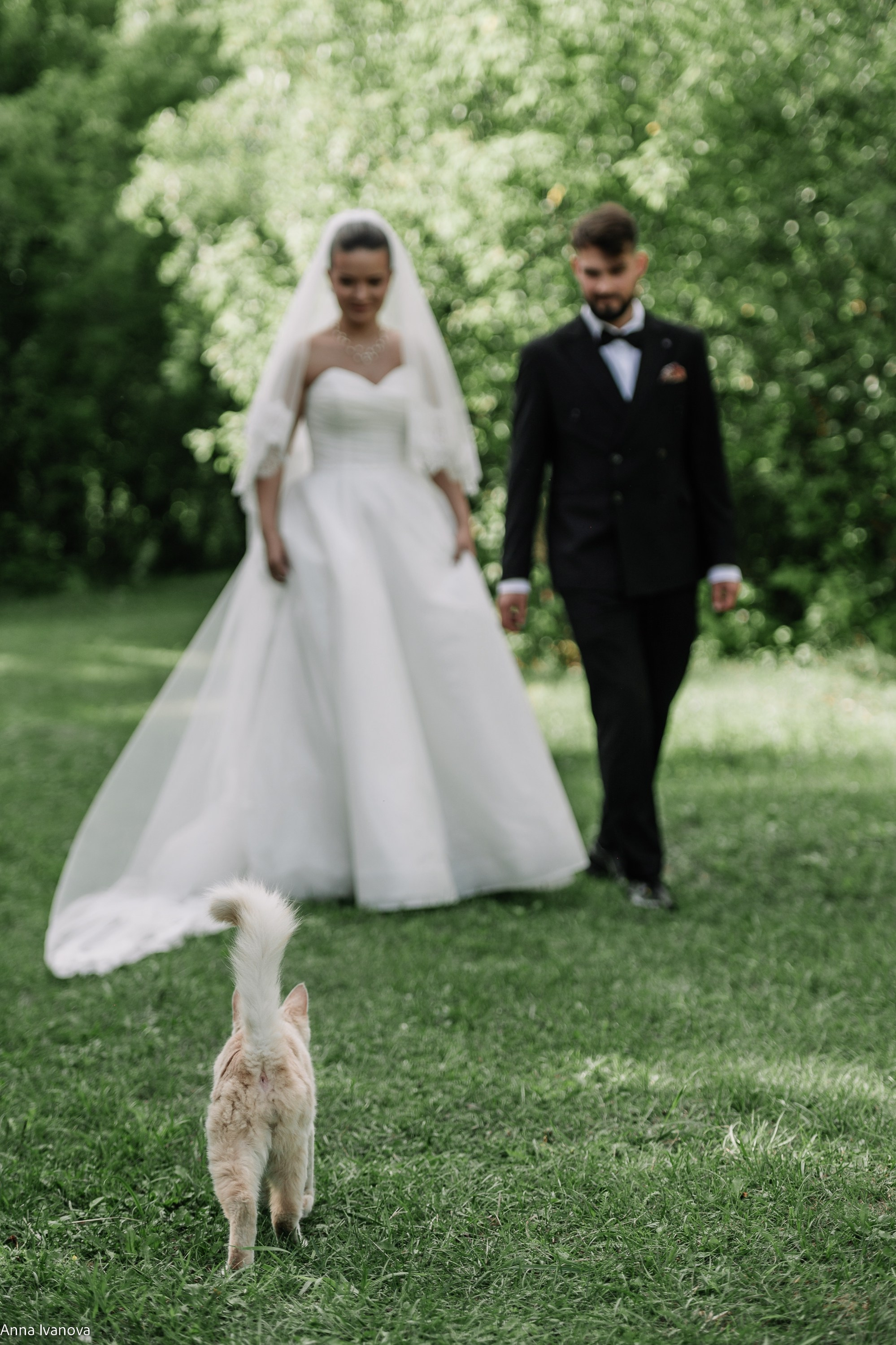 Свадебная фотосессия. Анна Иванова Свадебный Фотограф Чебоксары