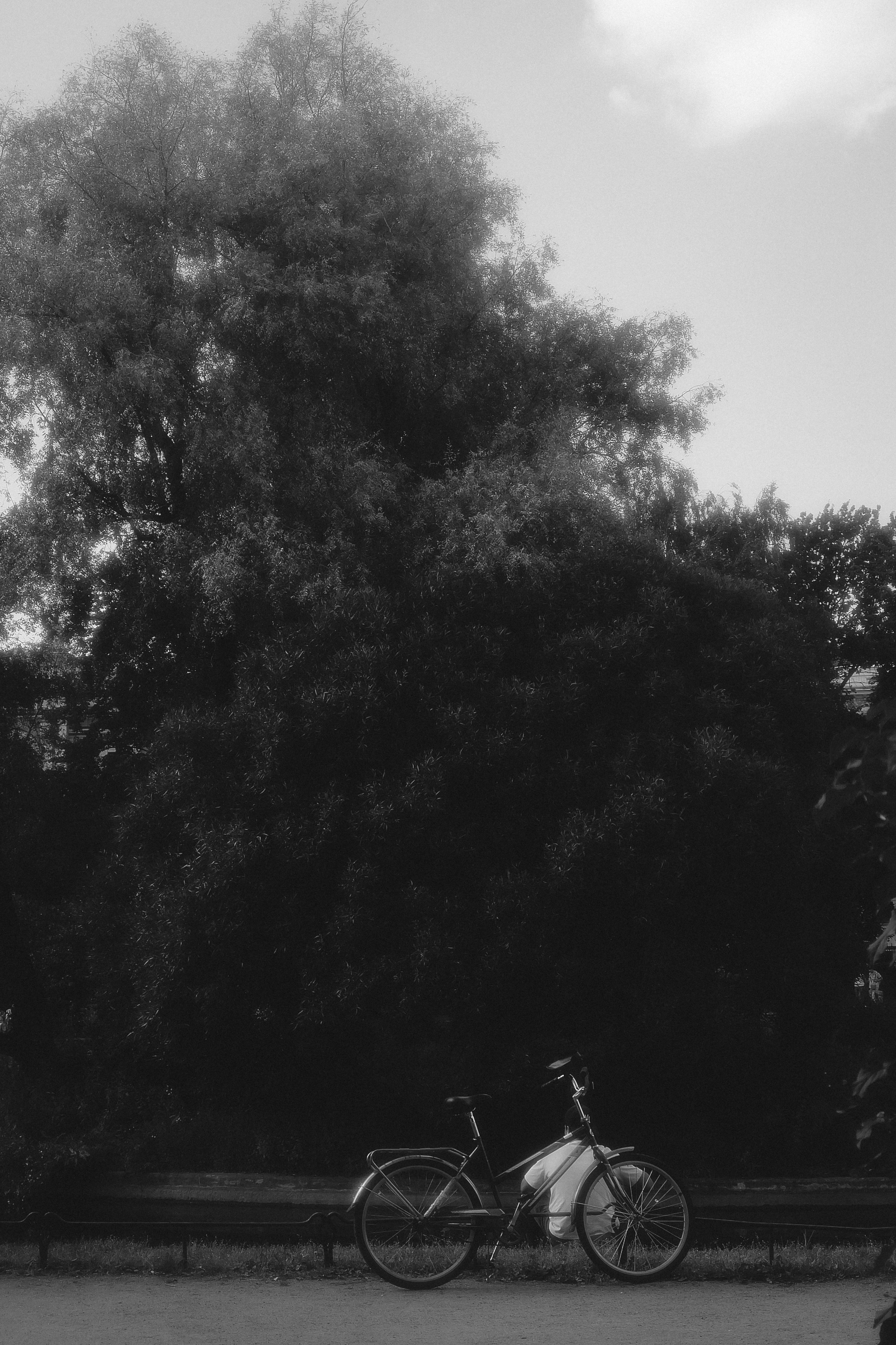 Город оживает. Портретный фотограф DanilNabody