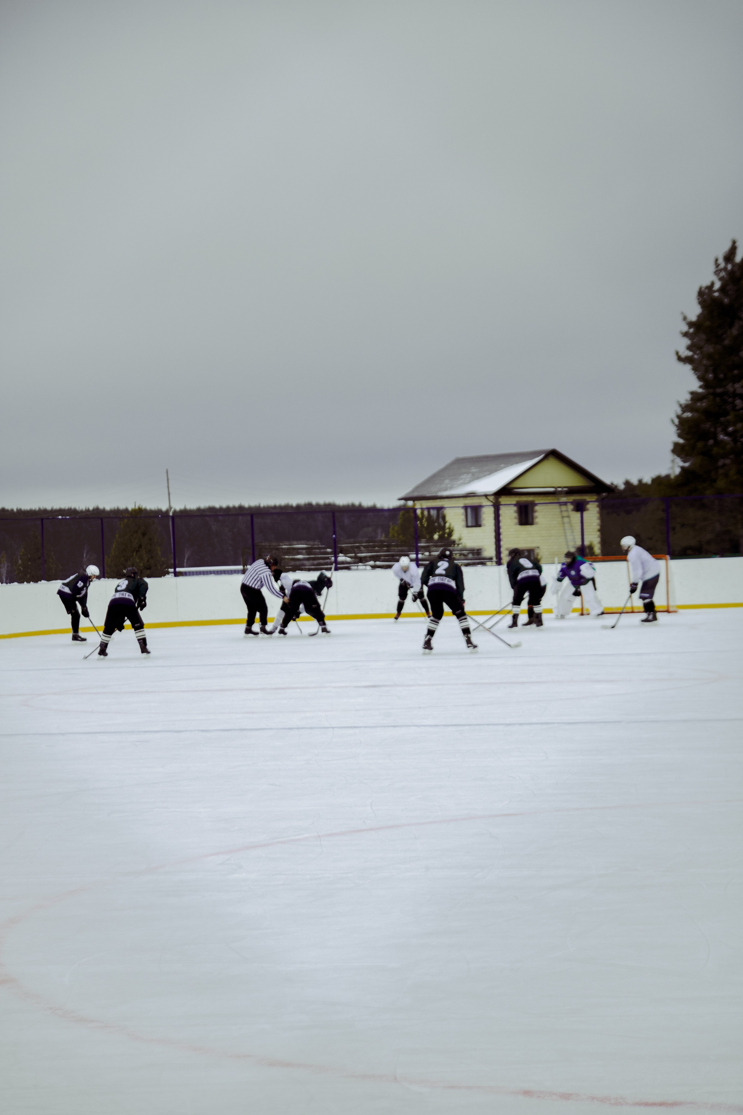 Хоккей 29.12.2024