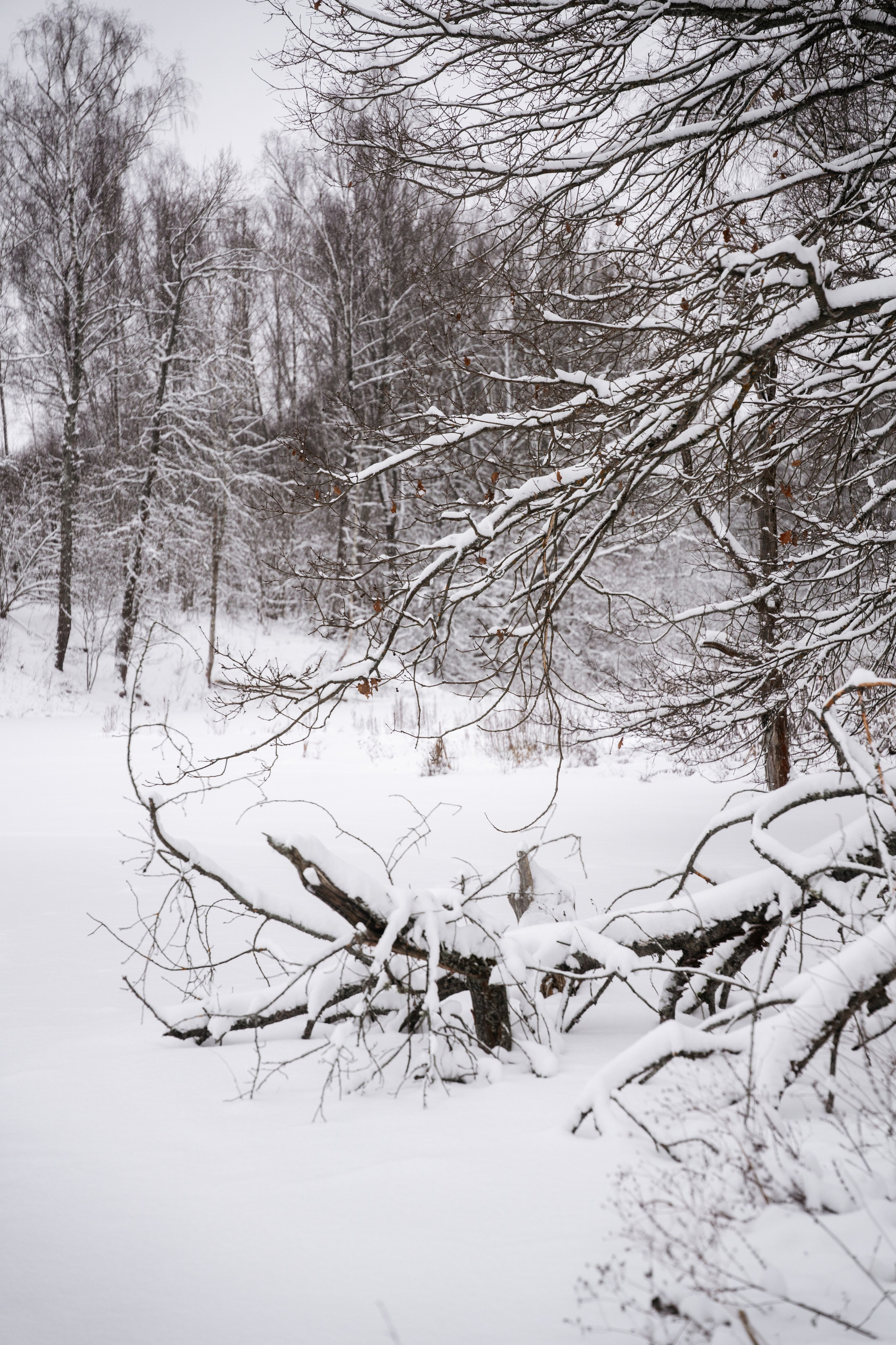 Поездка к р. Песочня и деревне Раевское. Vlad Trykov