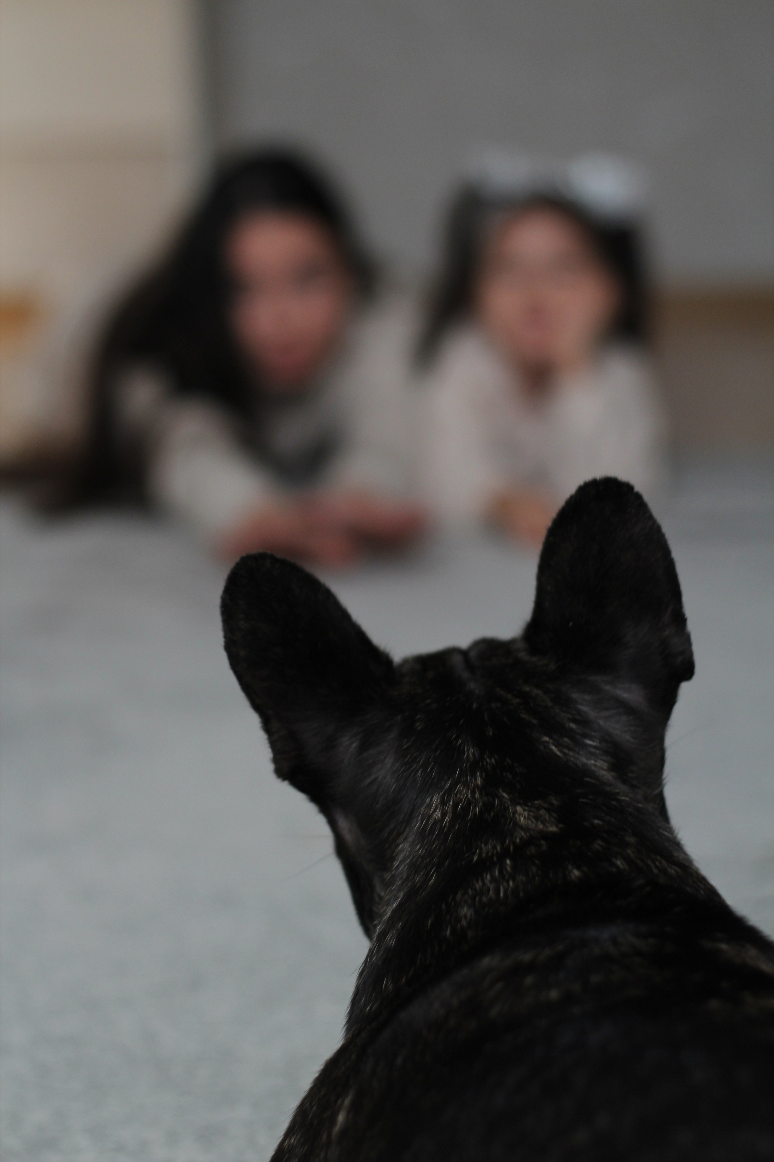 Семейная съемка. Семейный и детский фотограф в Москве Анастасия Крейнина