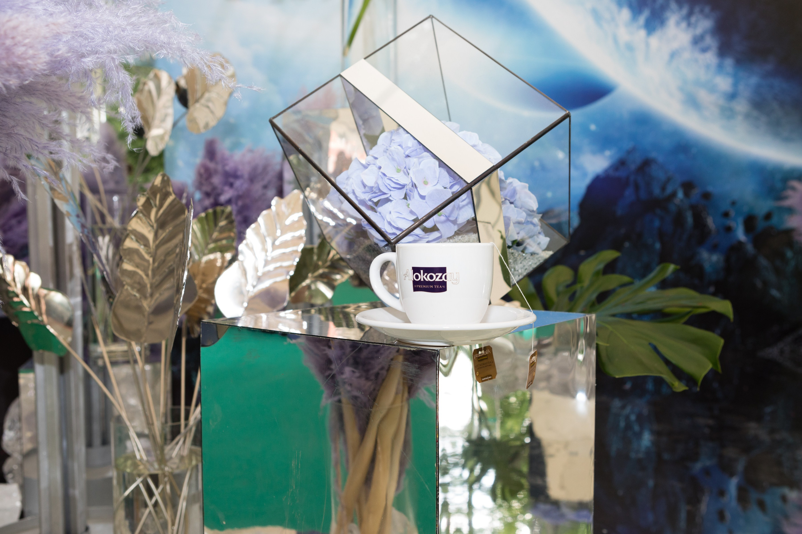 Промоакции. Фотограф Анна Зиновьева