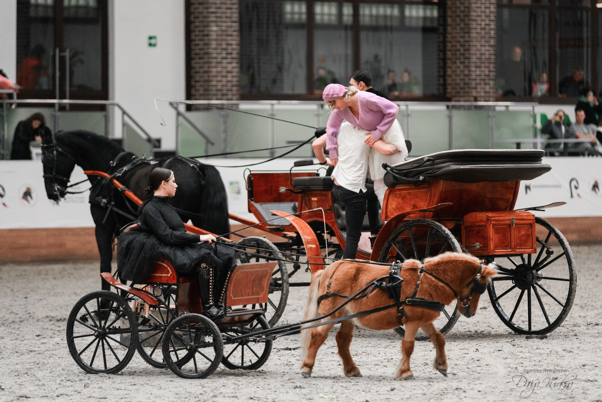 8-я международная выставка Конная Россия. Конный фотограф Куракина Дарья • Фотосессии с лошадьми