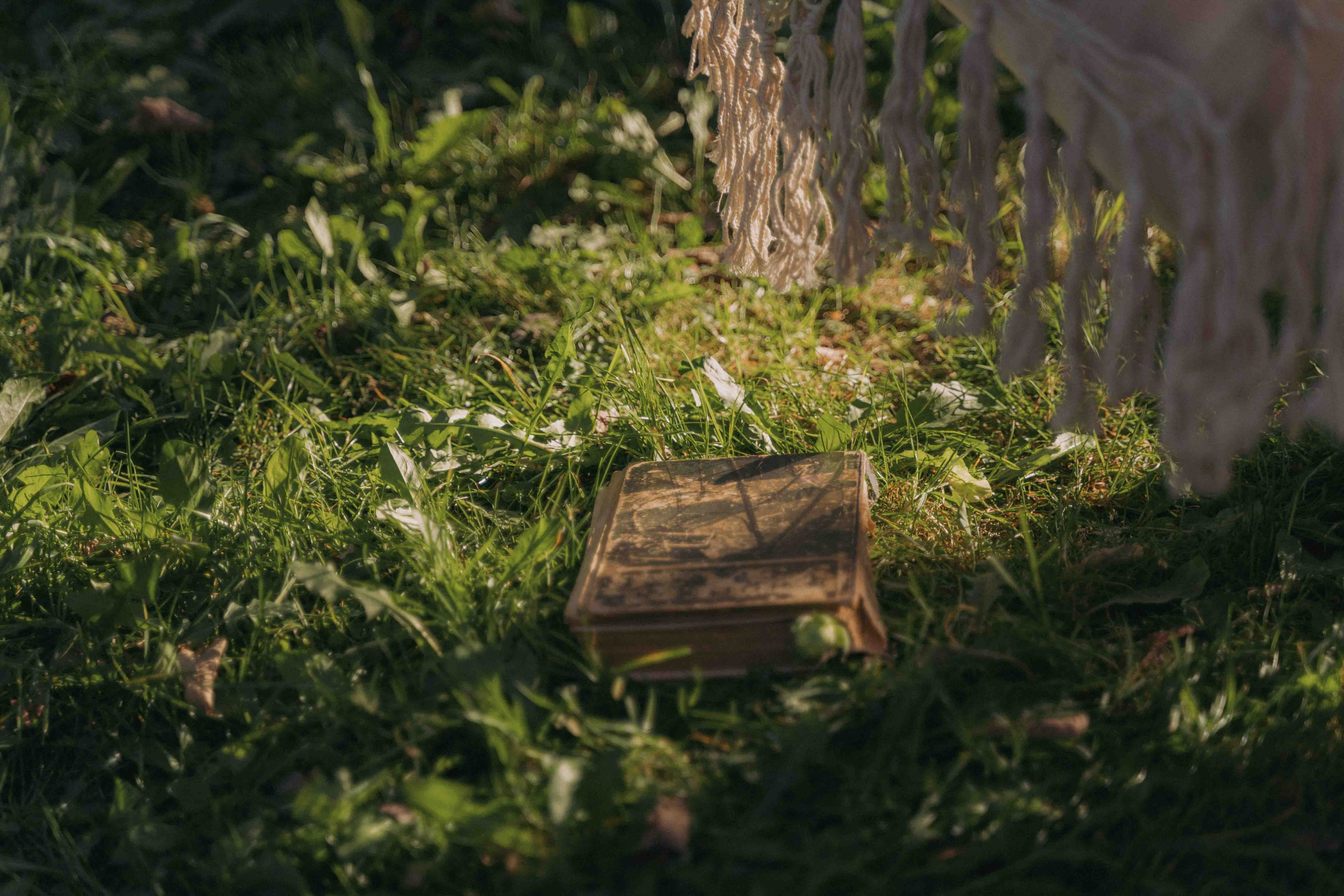 Яблоневый сад и гамак. Фотограф и видеограф в Москве и Абу Даби Мария Кулагина