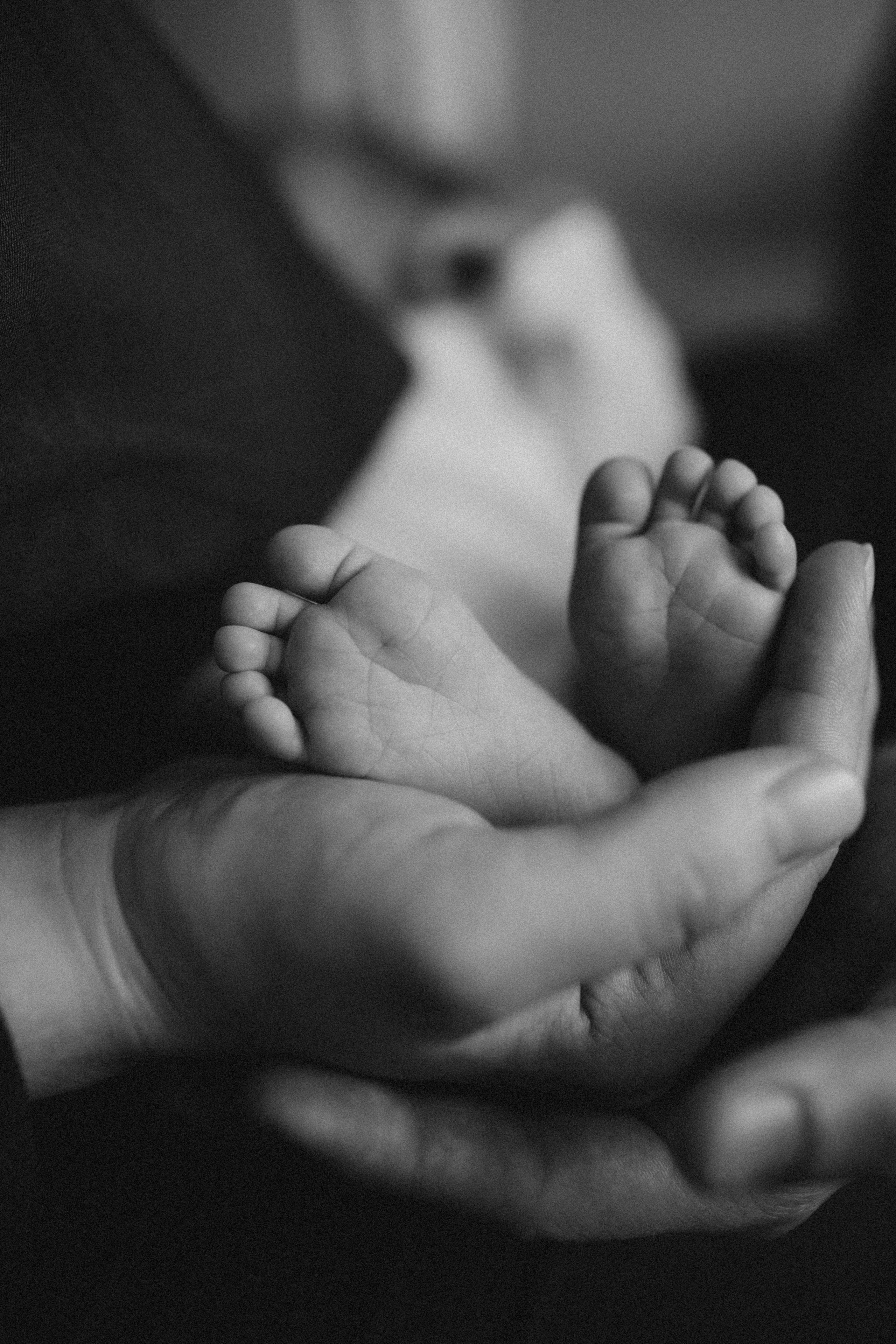 Савелию 12 дней!. Семейный фотограф в Челябинске Ксения Зубкова