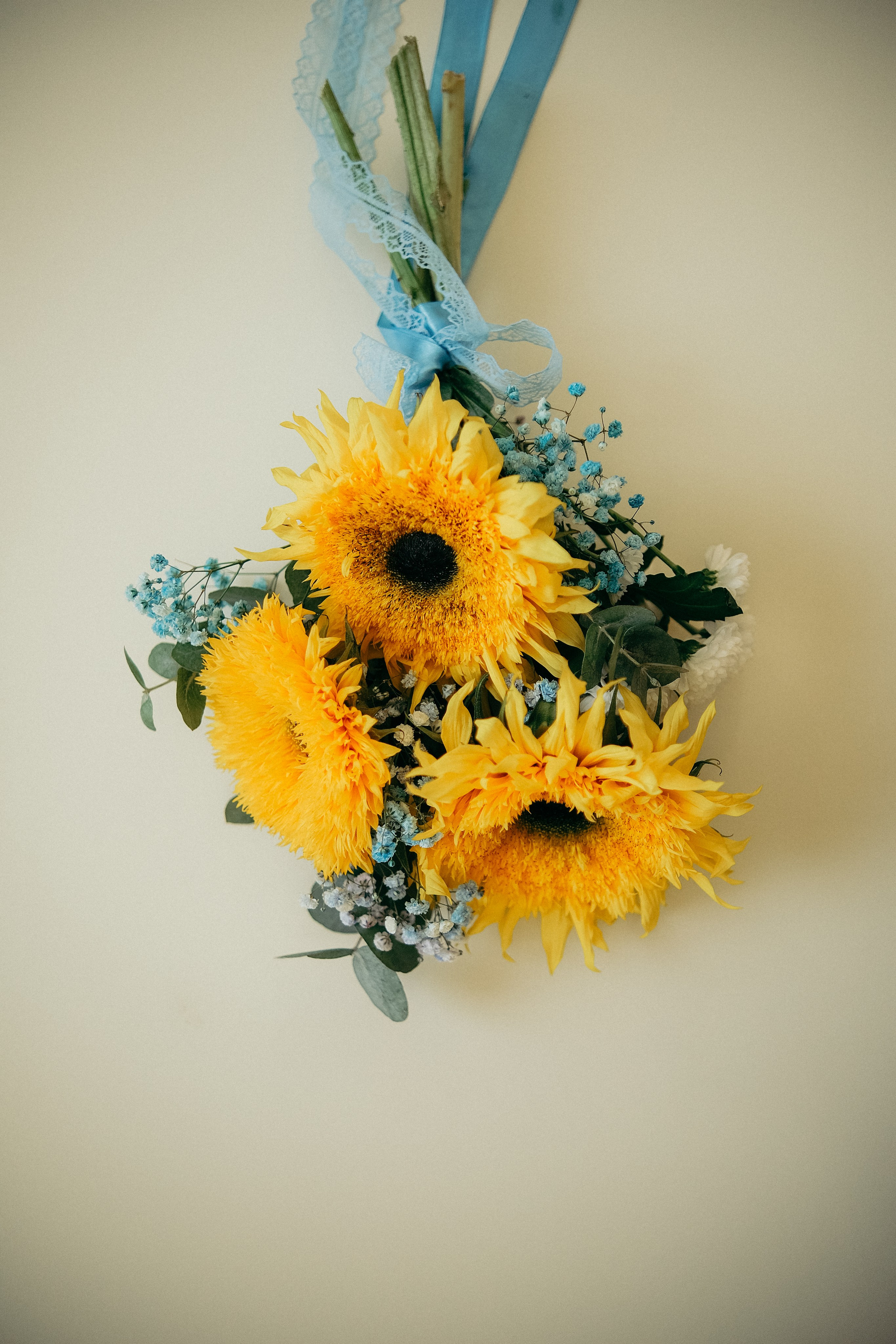 Марина & Слава. Загс Приморского р-на. Phdkvmr.ru