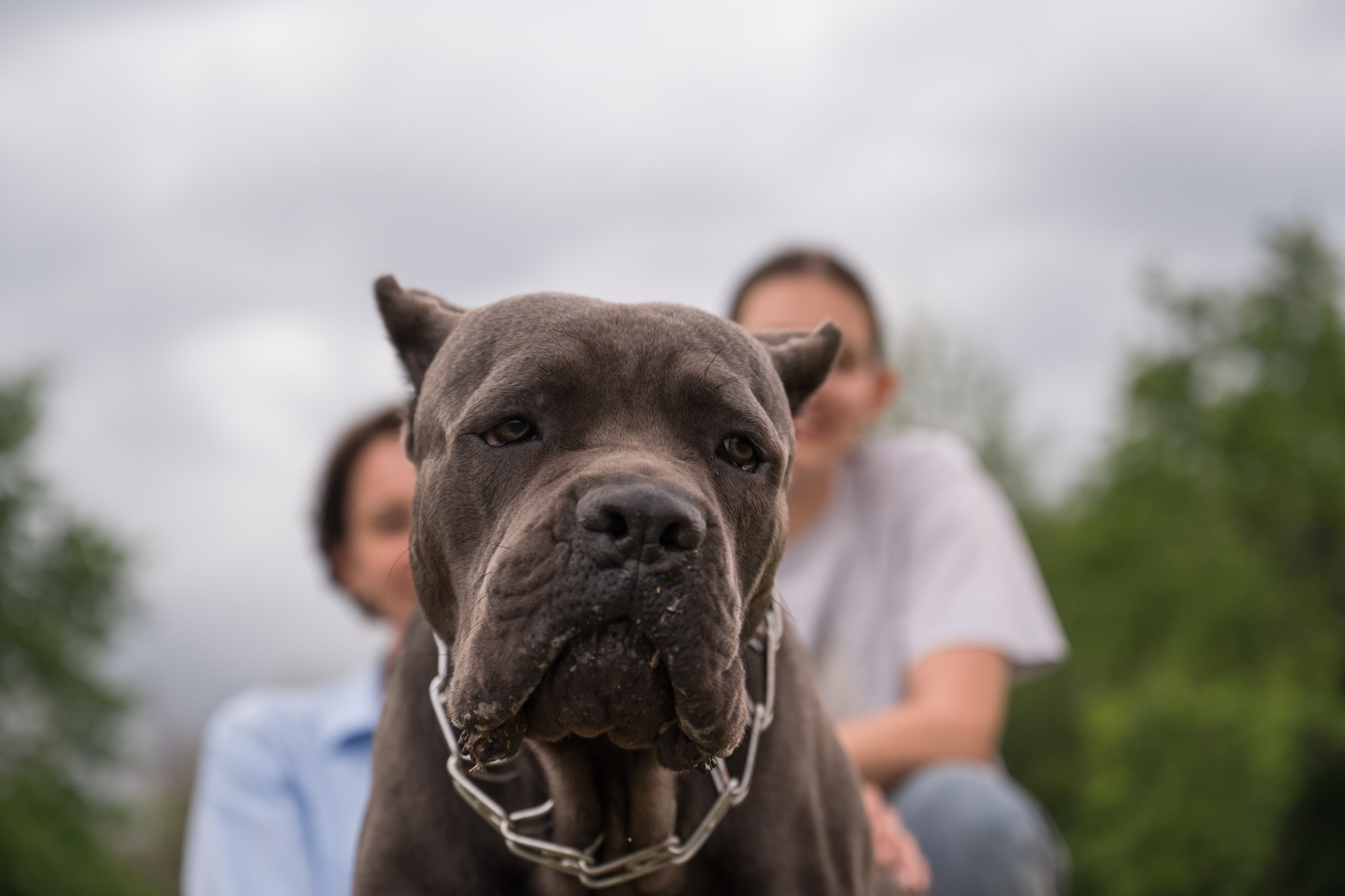 Дина, Яна и Лео. Фотограф Саратов Юлия Петрова