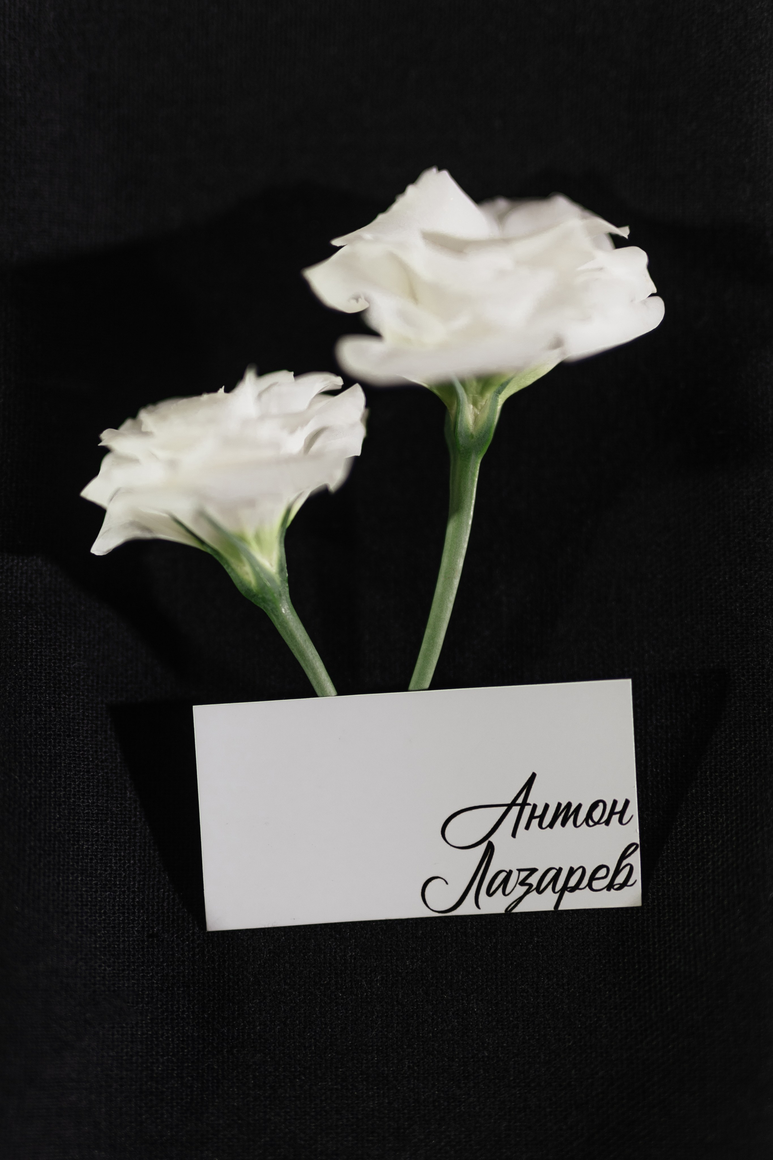 Свадьба Антона и Татьяны. Фотограф Кольчугино/Владимир/Москва Елизавета Иода