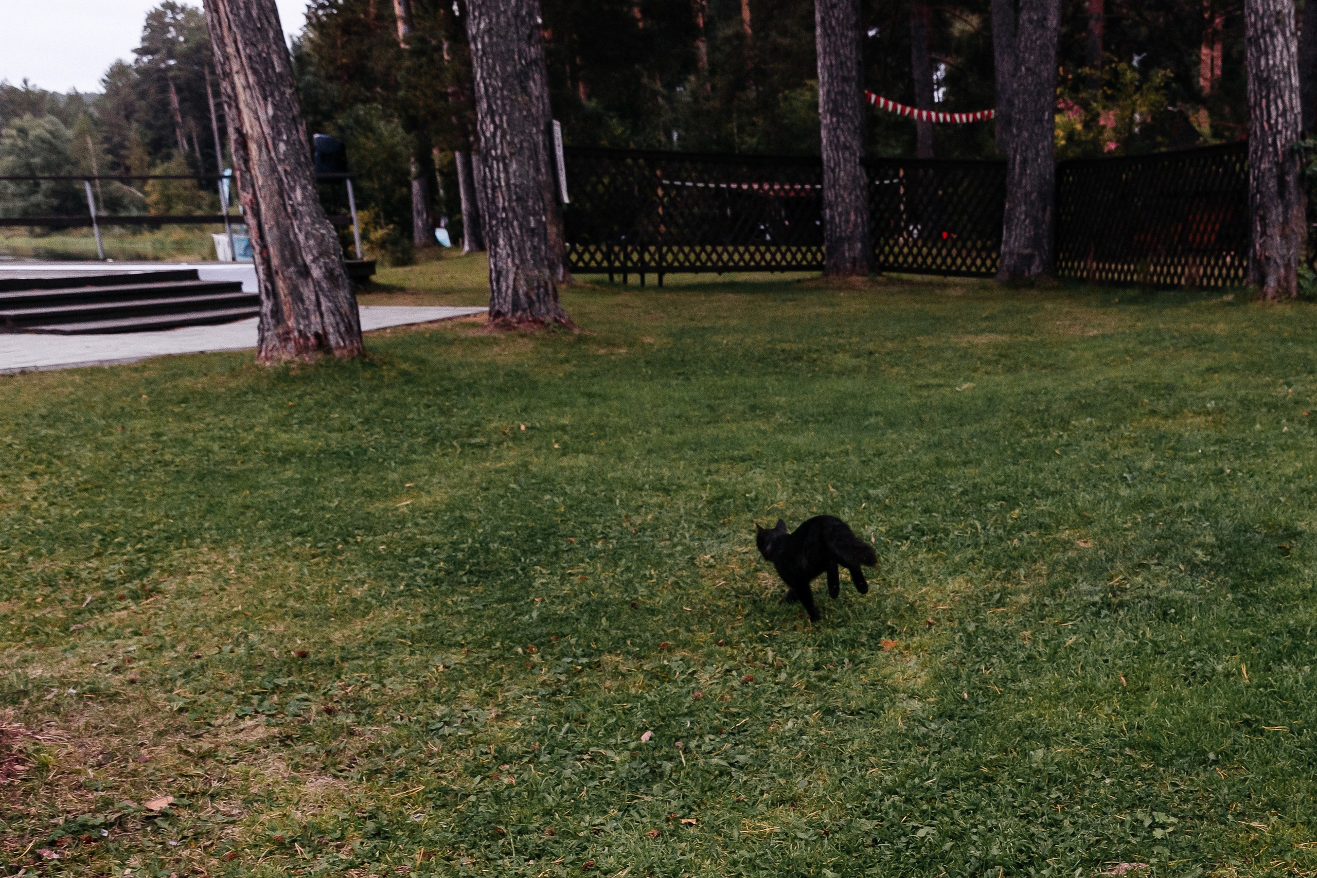 MARIA & LEV. Свадебный фотограф | Екатеринбург | Сочи | Артем Шестаков