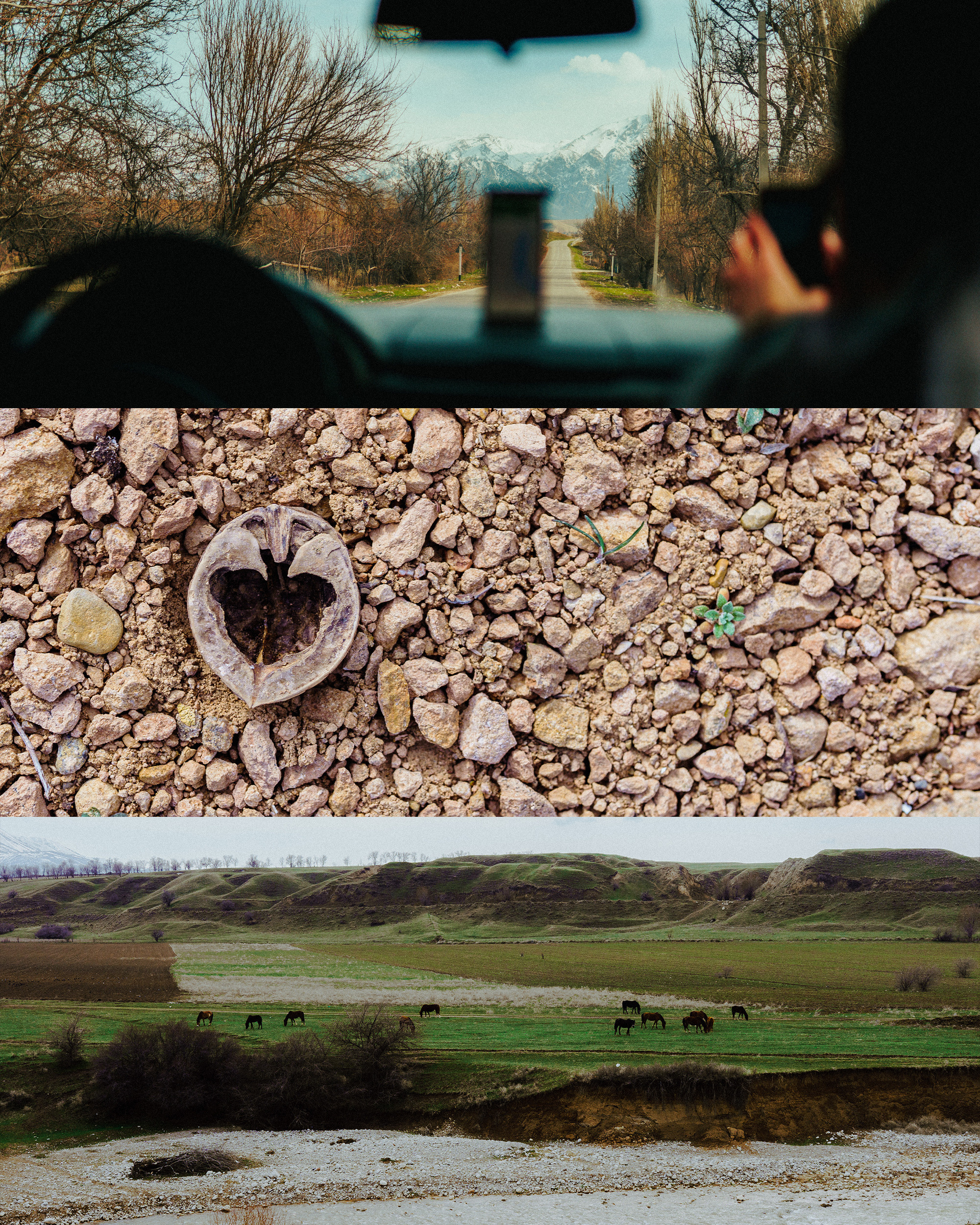 Паша. Фотограф в Москве и России