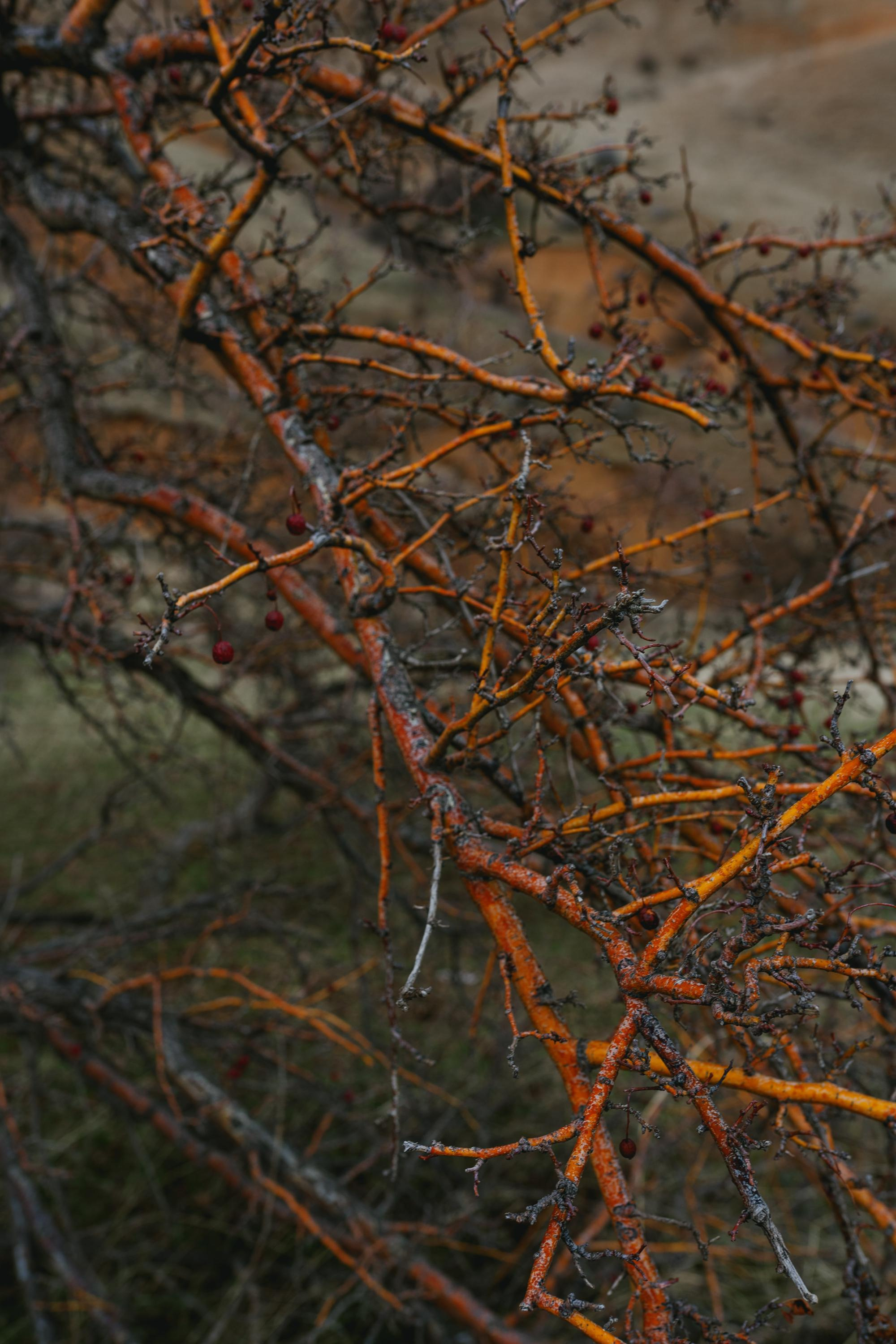 Женя. Фотограф в Москве и России