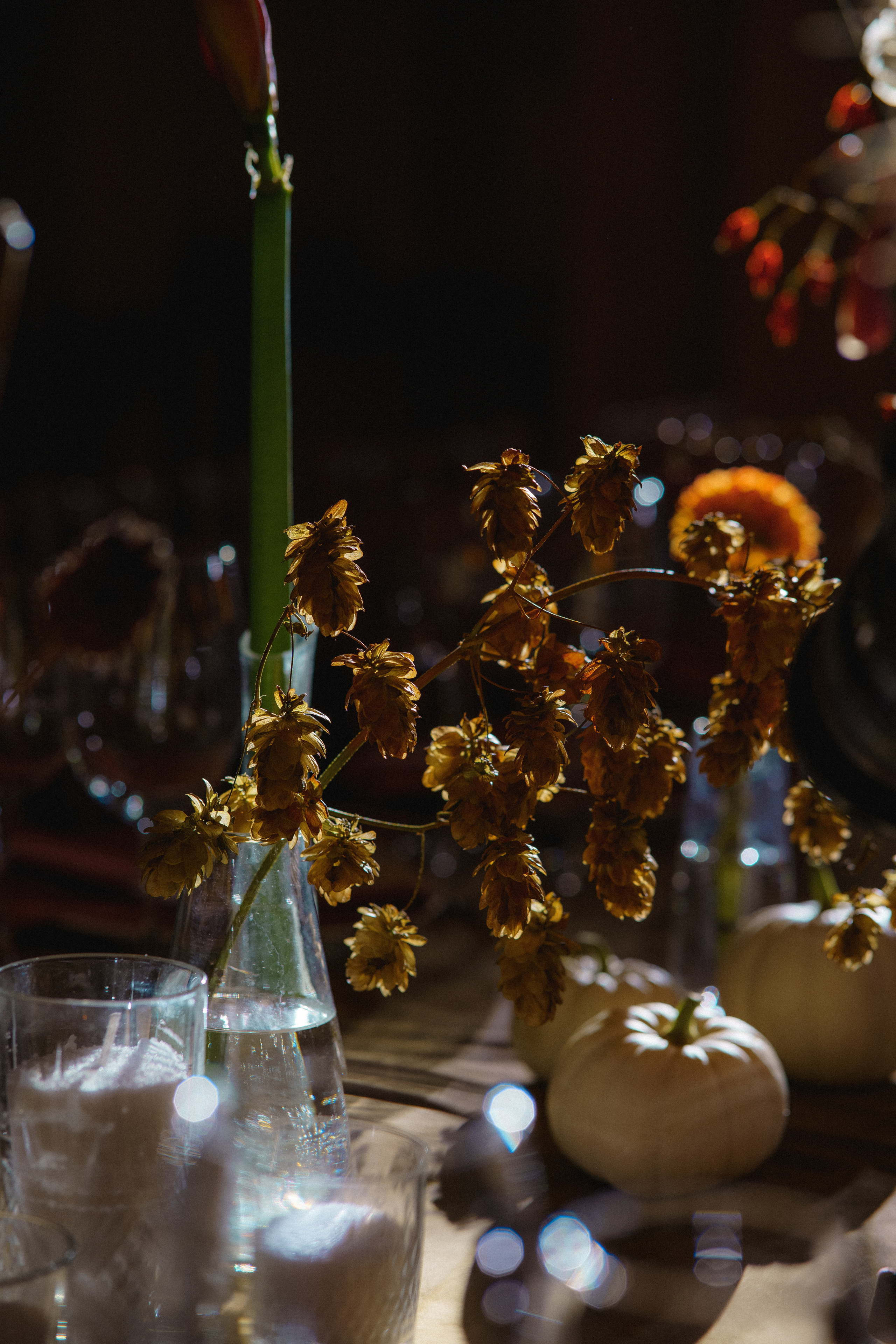 Константин и Татьяна. Фотограф в Москве и России