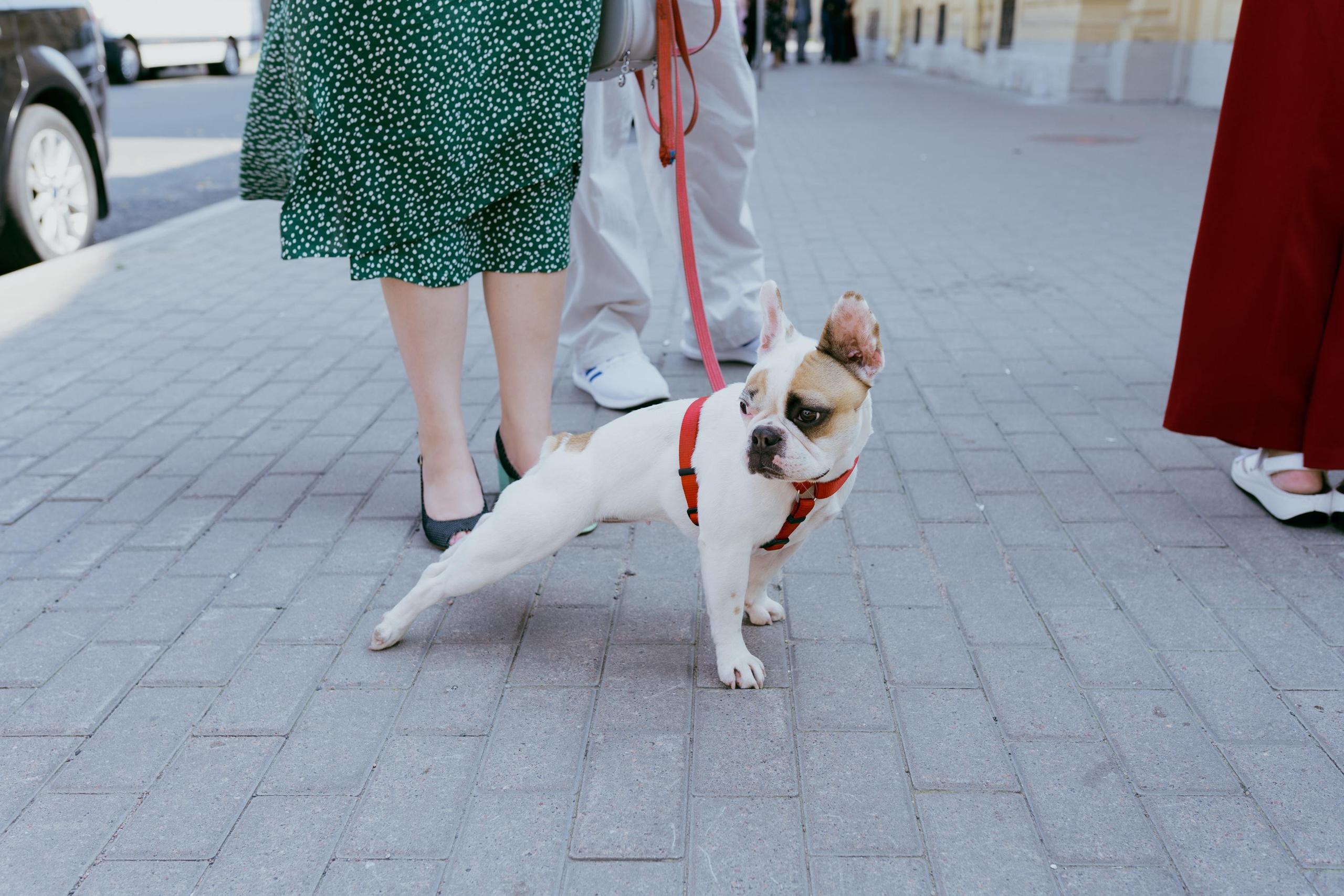 Вова и Рита. Фотограф в Москве и России
