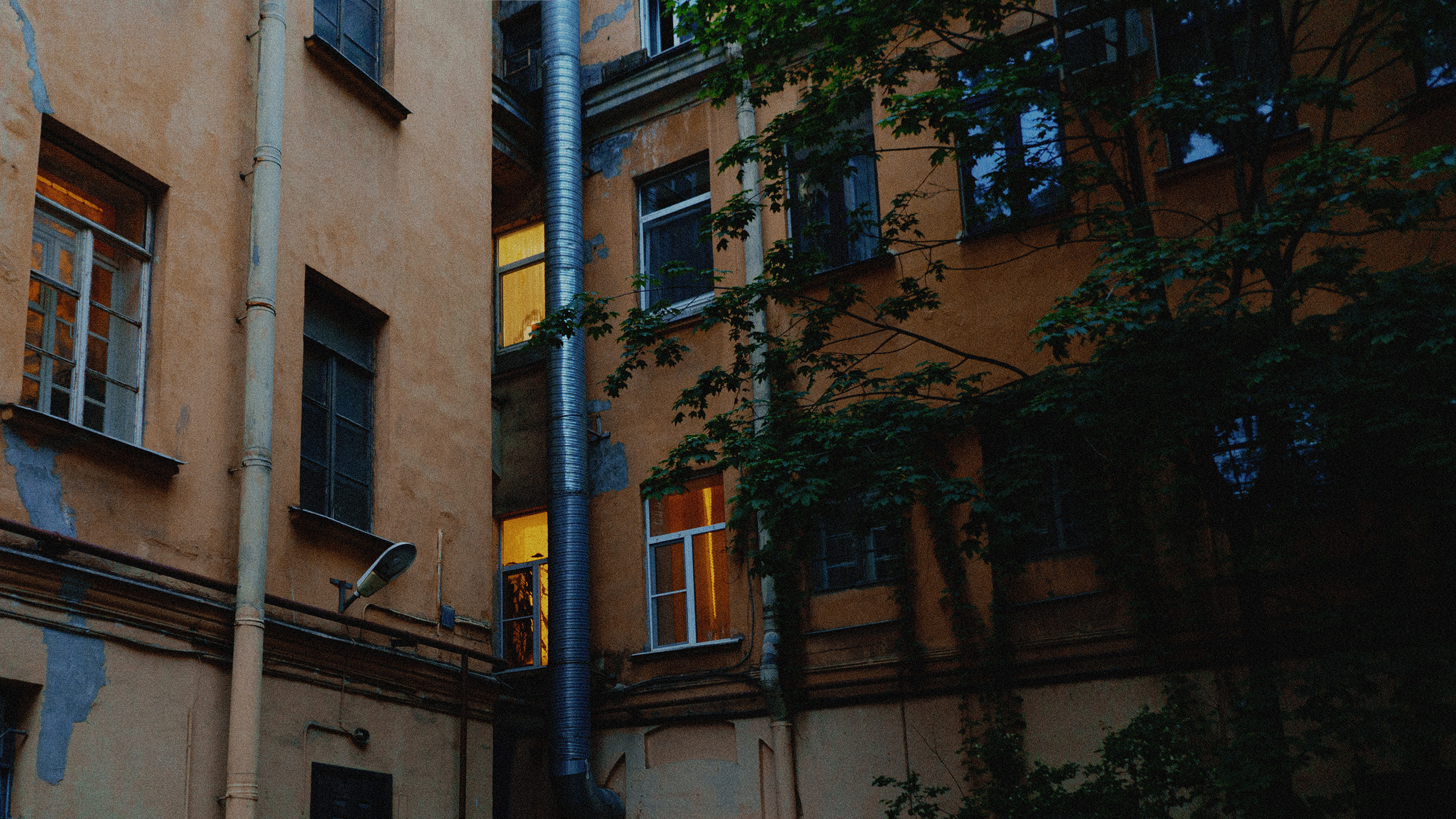 Анфиса. Фотограф в Москве и России