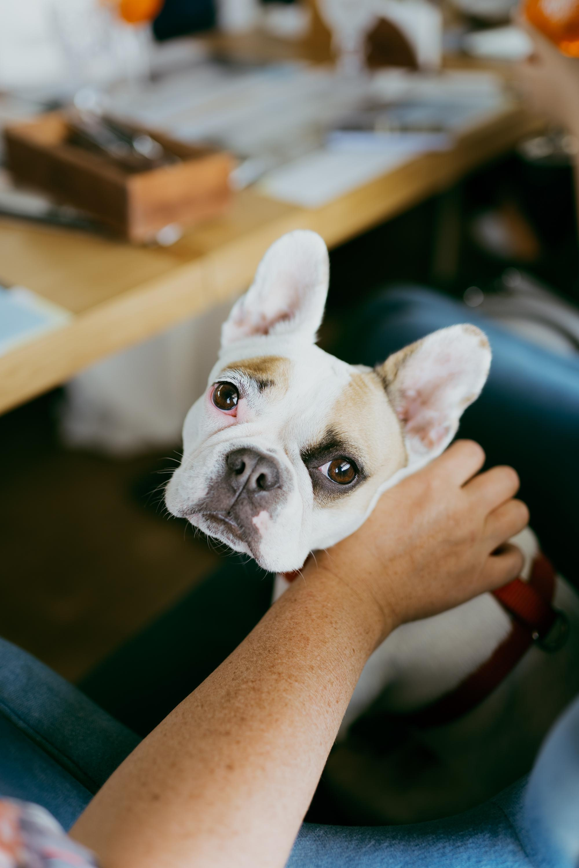 Вова и Рита. Фотограф в Москве и России