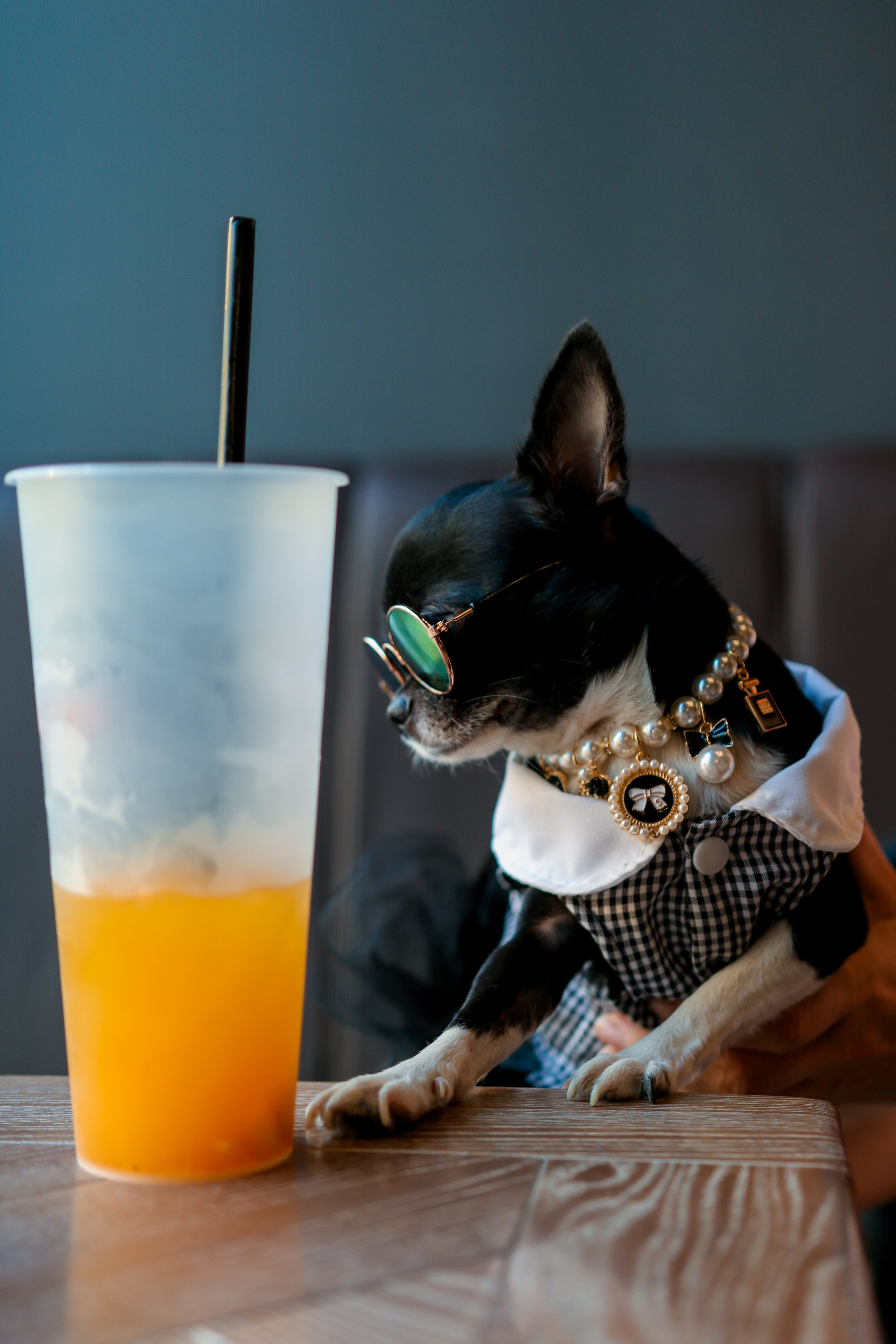 Фотопрогулки. Слава Лерина. Фотограф. Ростов-на-Дону