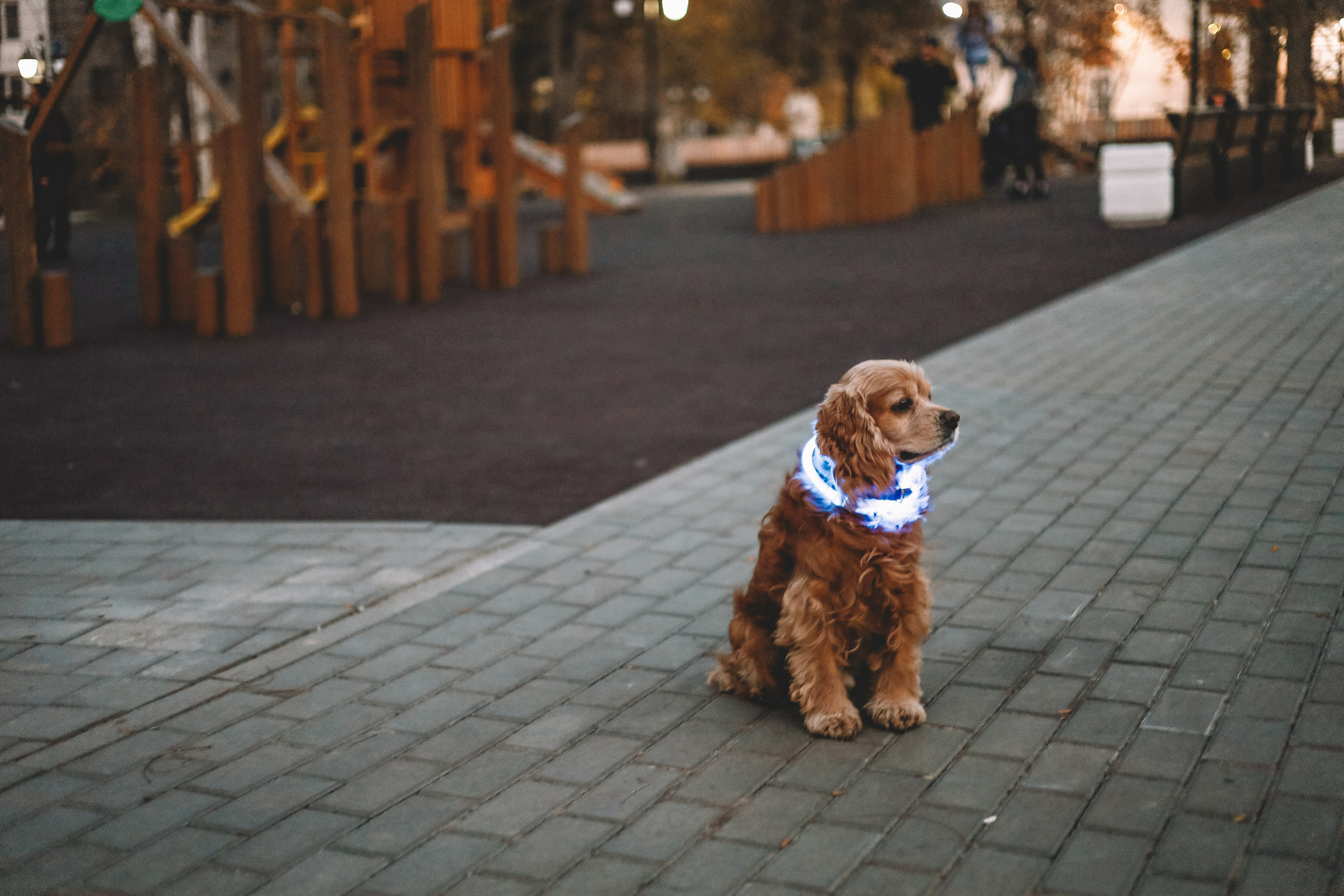 Фотопрогулки. Слава Лерина. Фотограф. Ростов-на-Дону