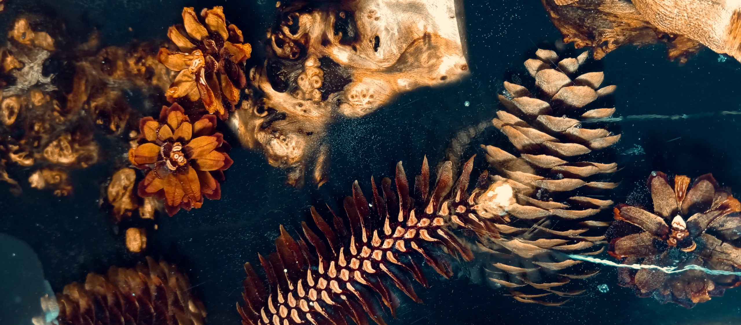 Reviews. Alexander Grigoryan photography