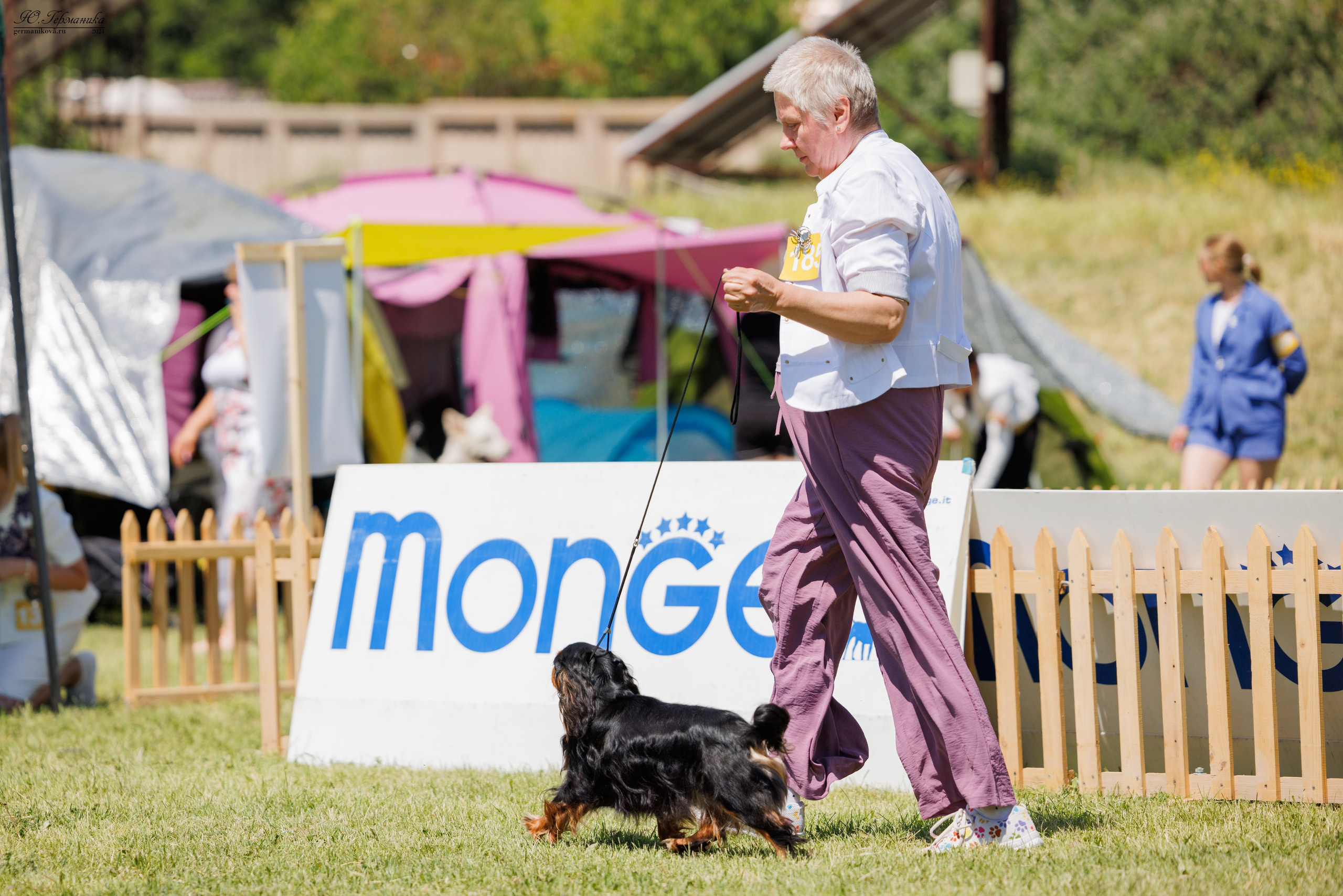 Ереван 3-5.06.2024. Фотограф-анималист Юлия Германика