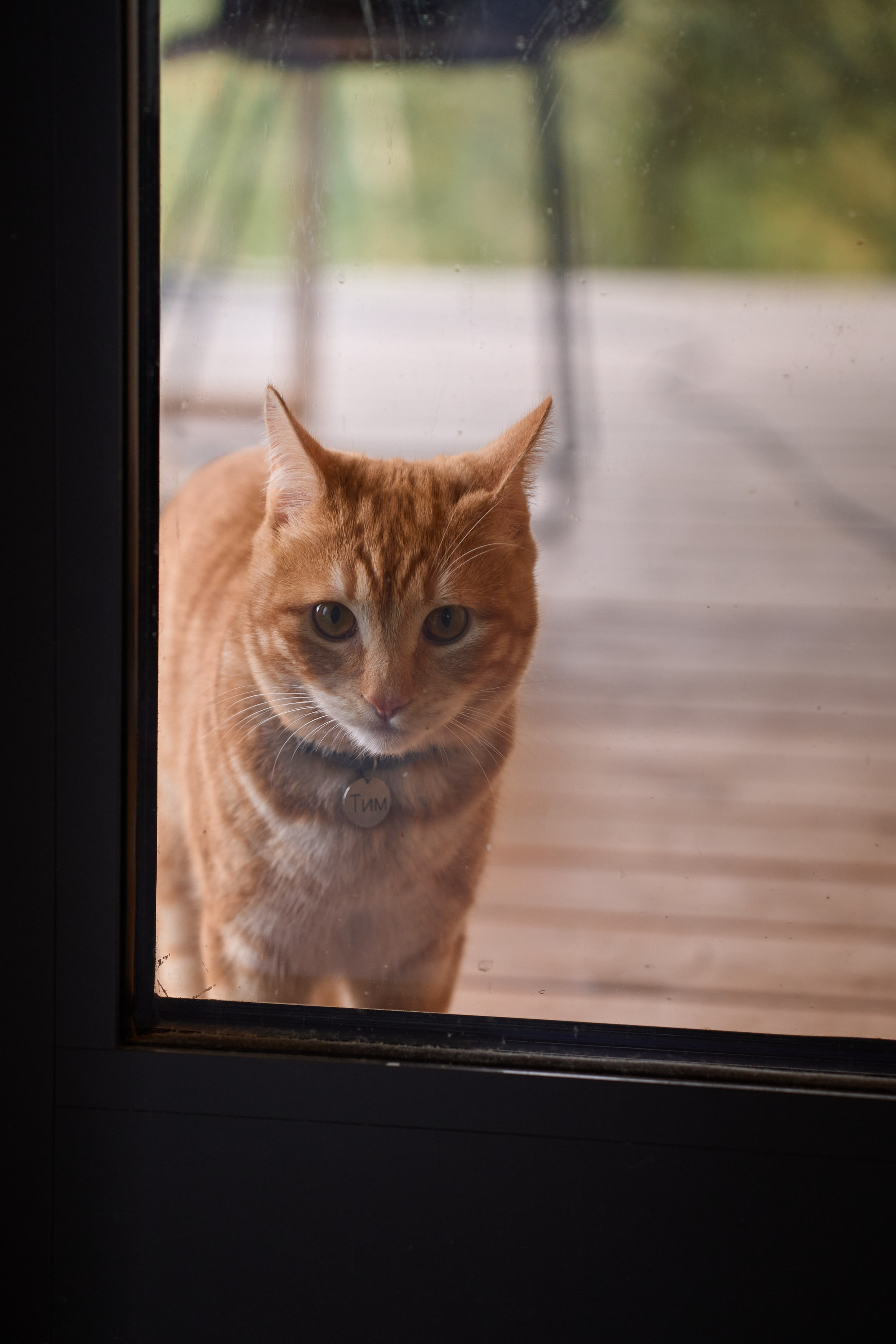 Четверо детей в доме. Фотограф Женя Пашкина