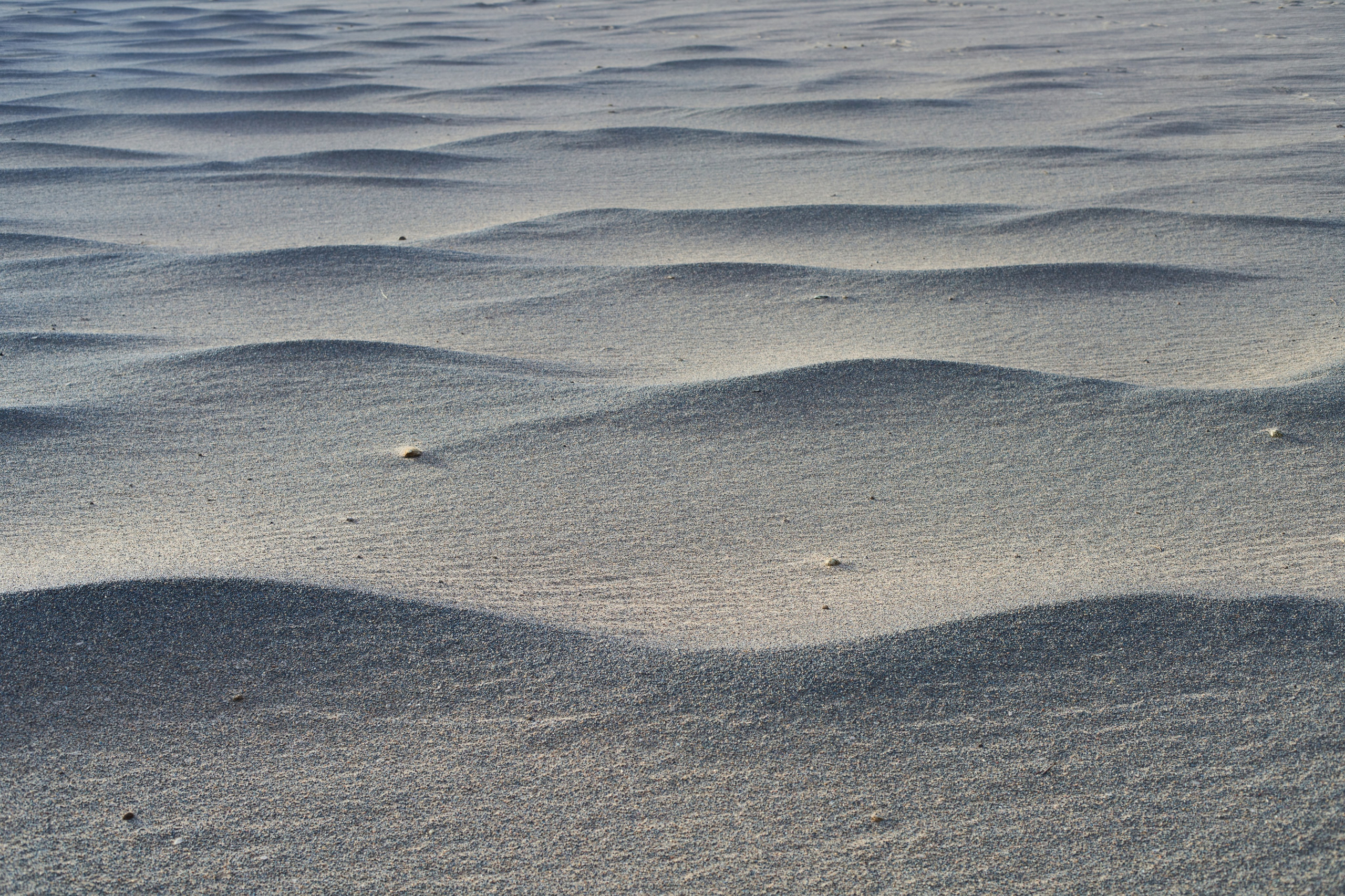 Природа. Василий Буйлов|Vasilii Builov