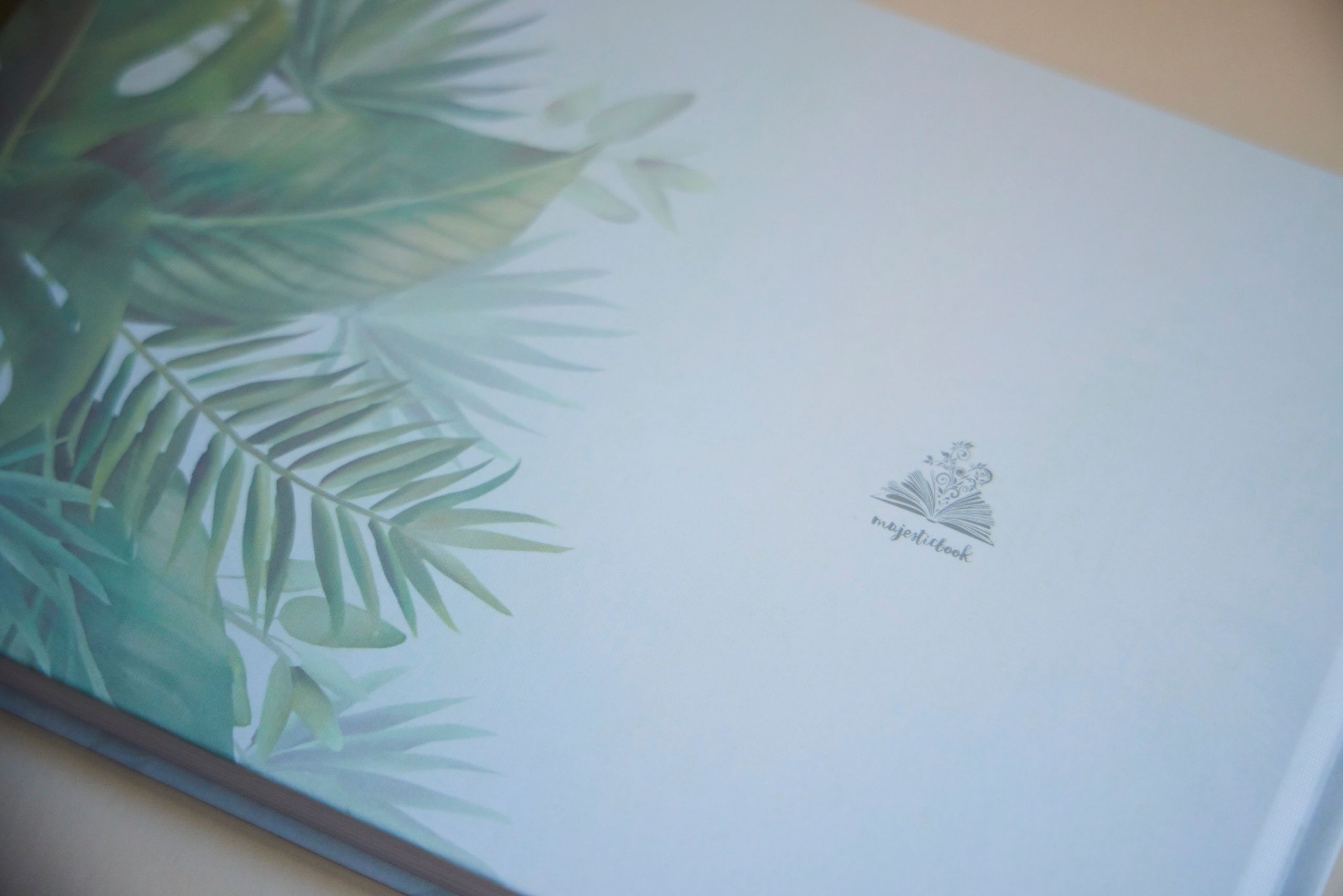 День рождения прекрасной женщины. Фотограф Владимир Джалавян. Фотохудожник Наталия Кирсанова