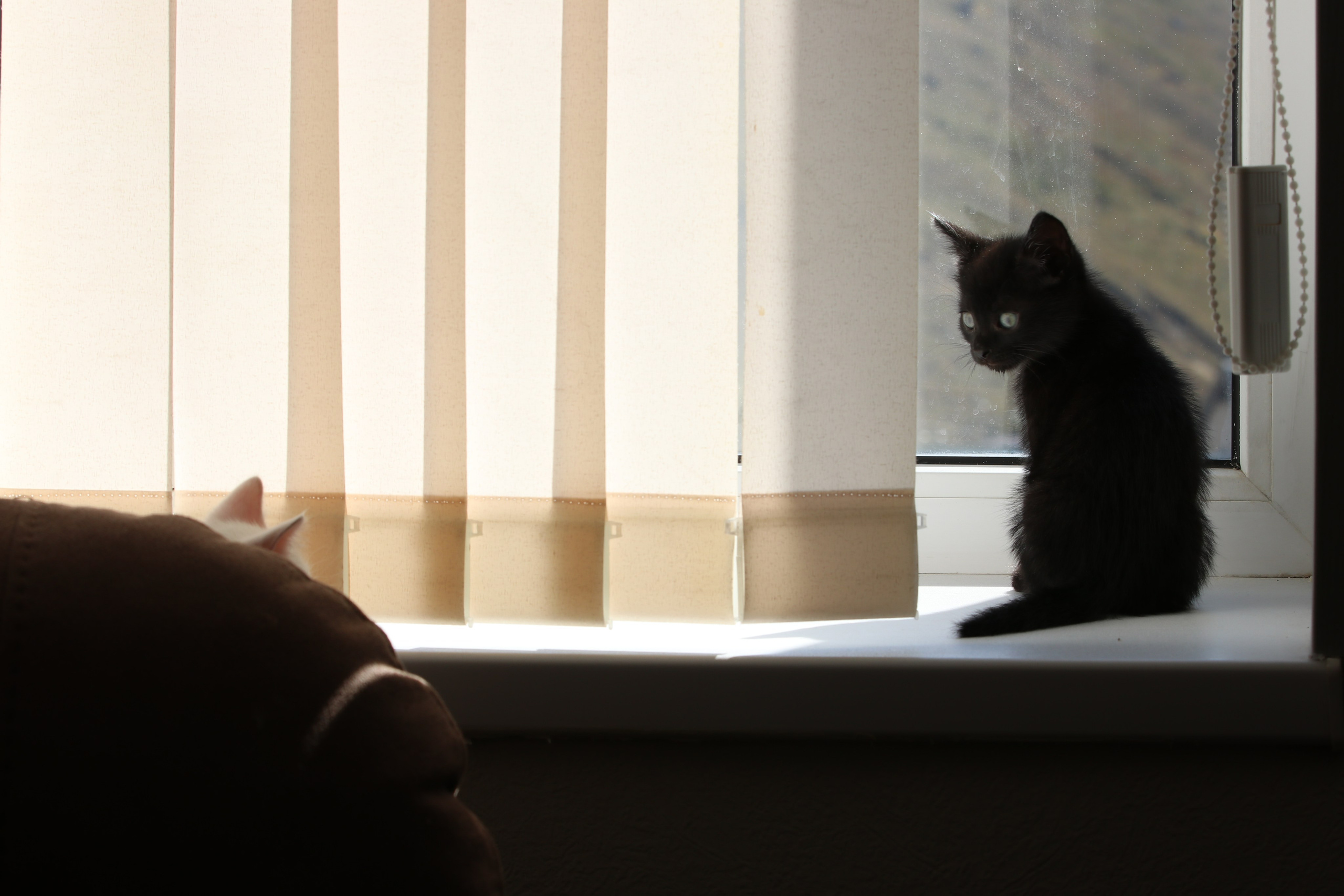 Приэльбрусье. Сентябрь 2023. Путешественник-фотограф из Санкт-Петербурга Татьяна Свистулина