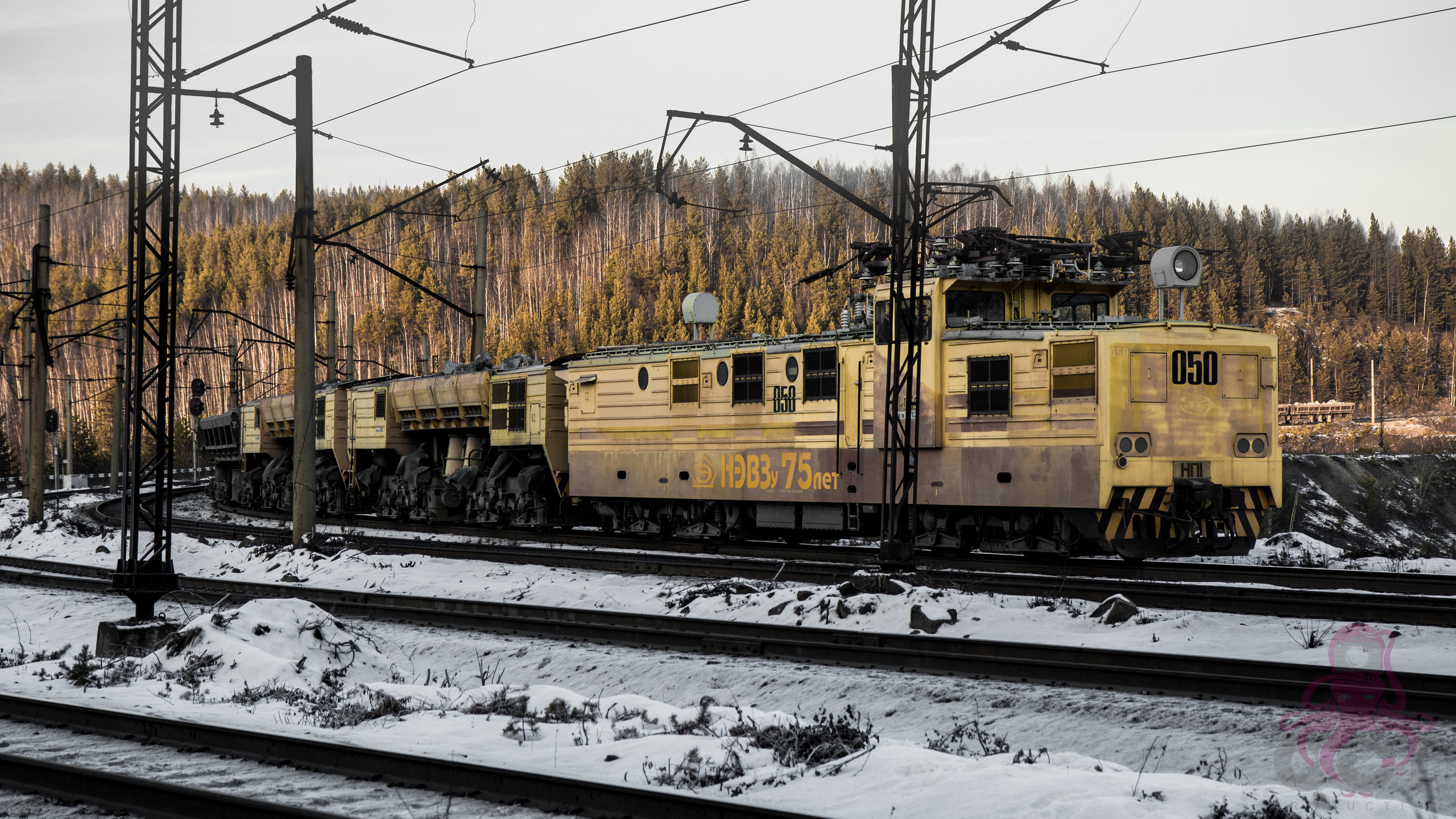 Буддистский монастырь Шад Тчуп Линг. Предметный и репортажный фотограф Алексей Кротов