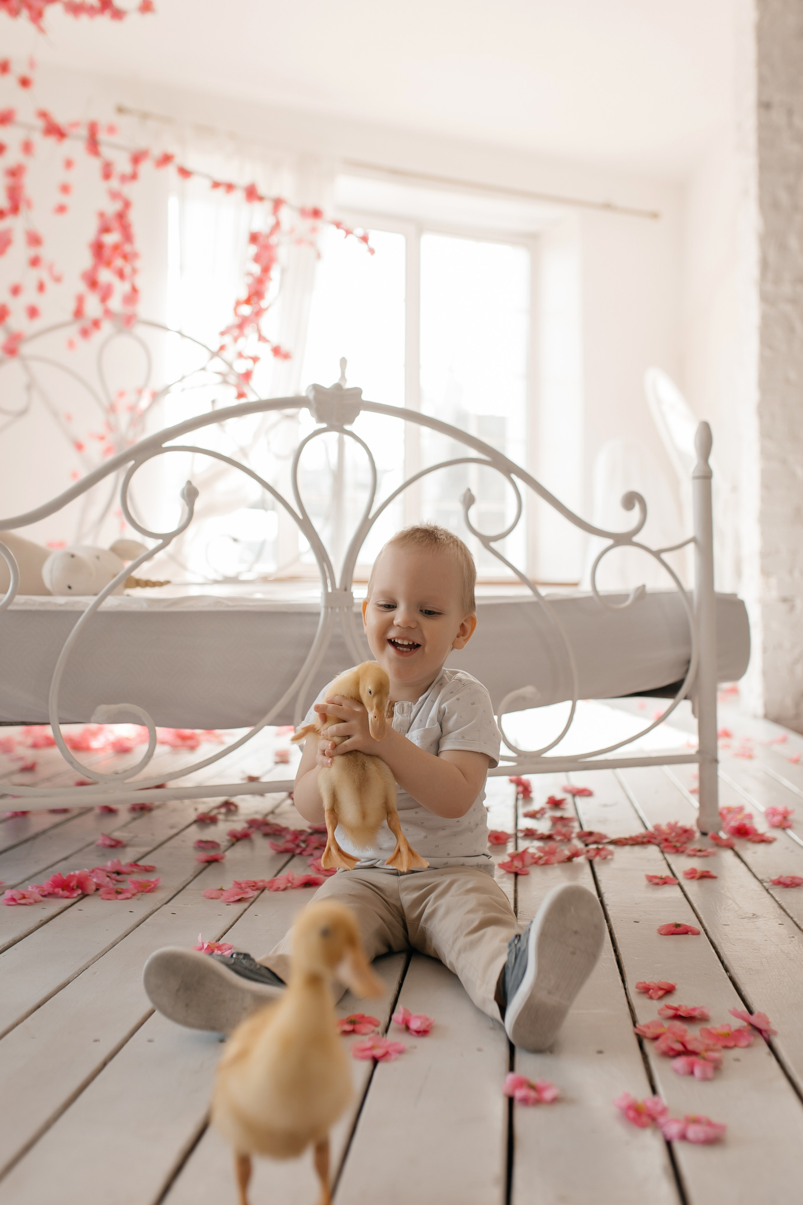 Семейная. Свадебный фотограф Красноярск — Кристина Ива