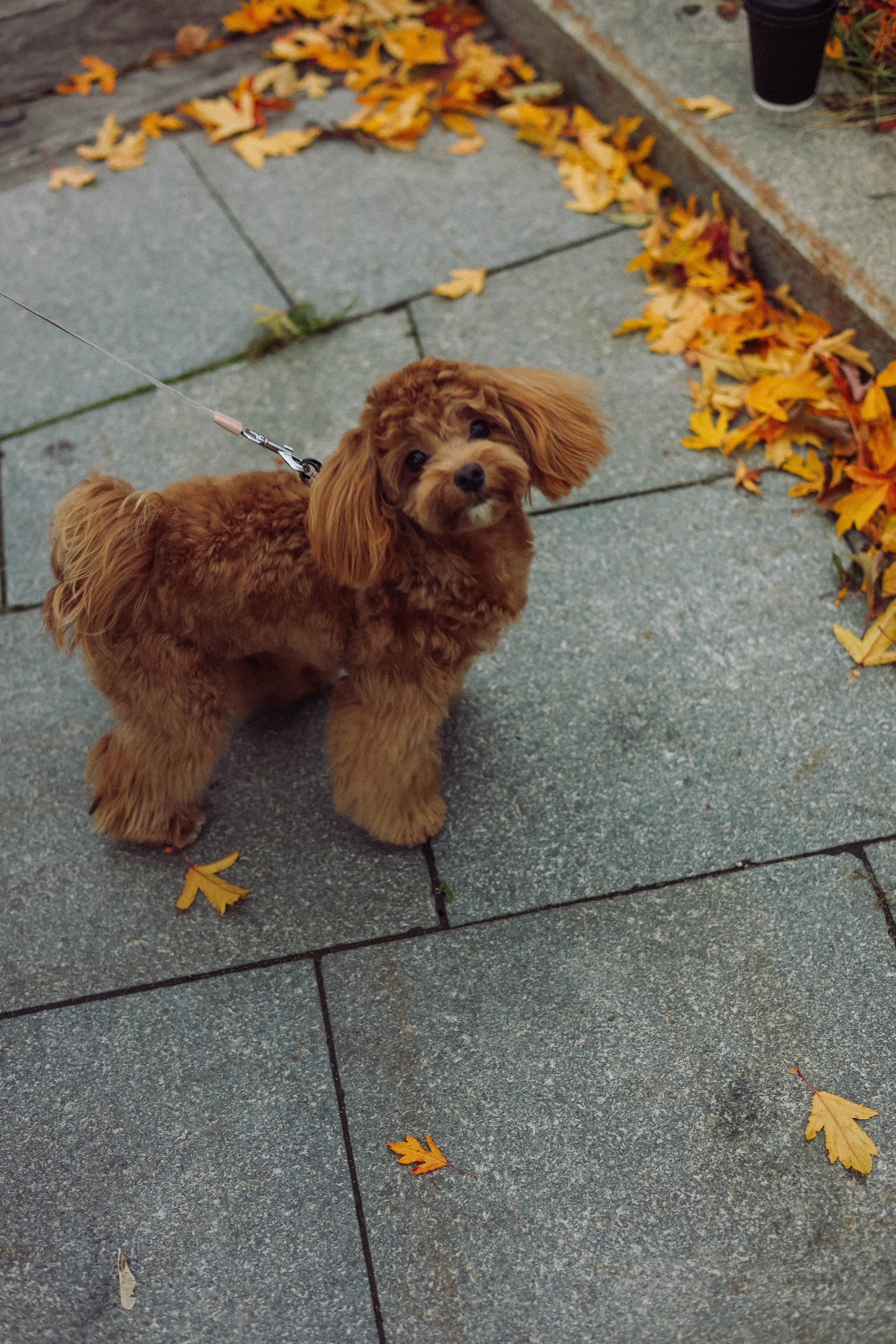 Кира. Фотограф в Москве Анастасия Калинина