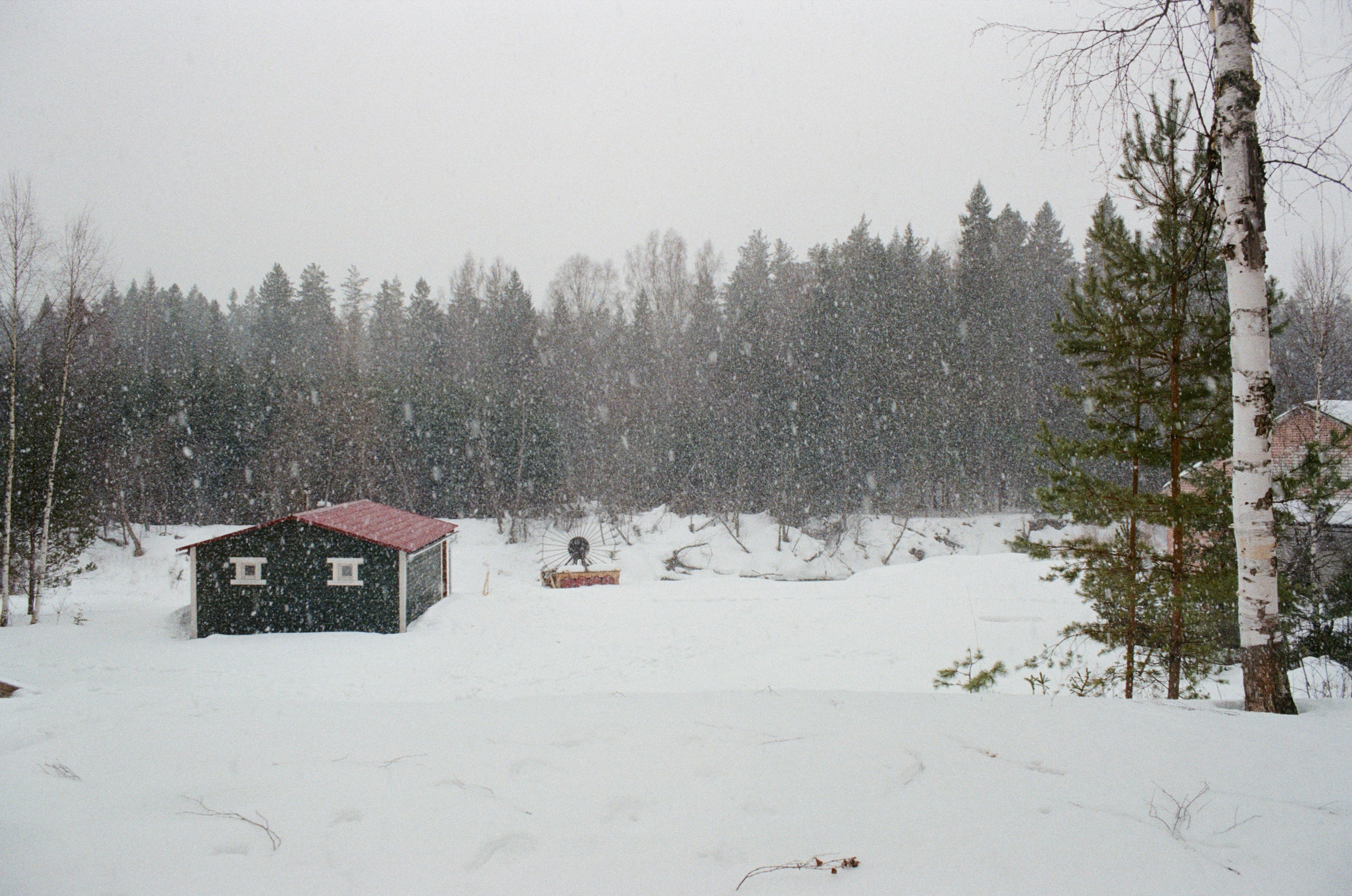 Плёнка. Артем Пучков