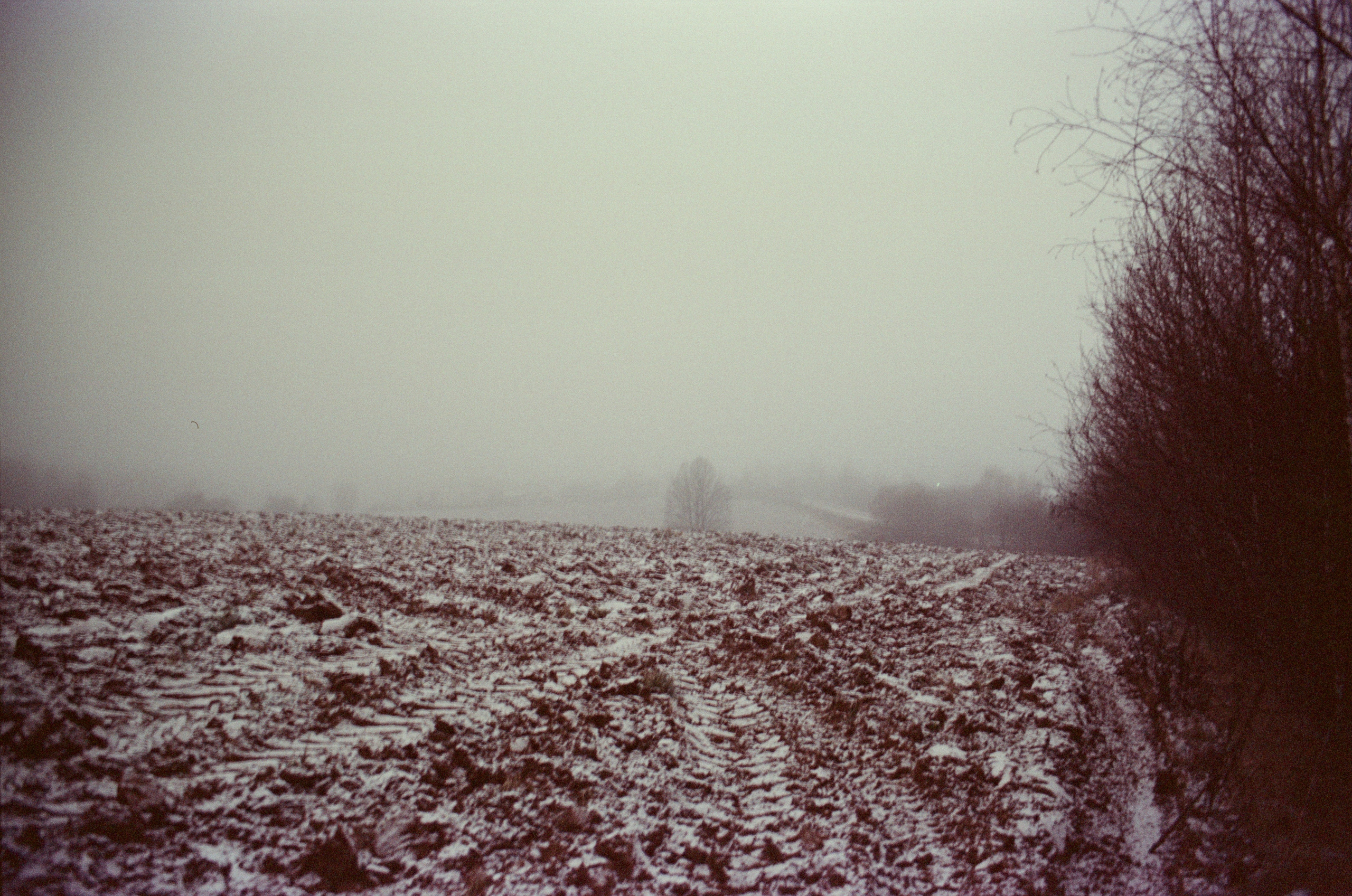 Плёнка. Артем Пучков