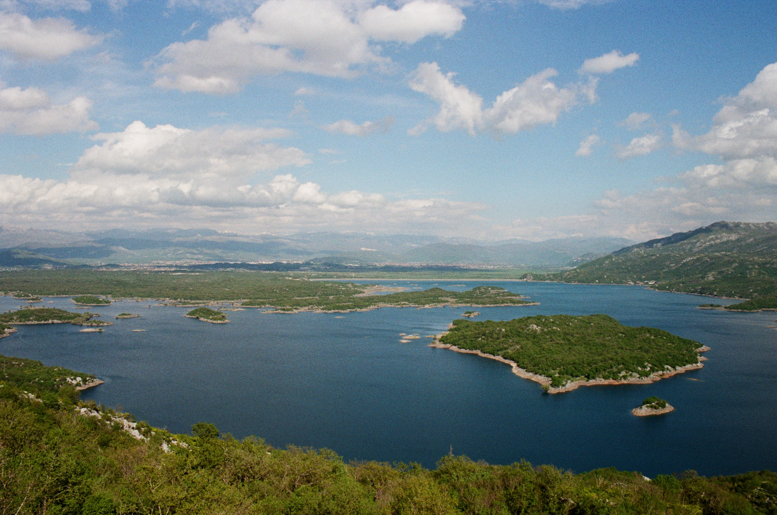 Плёнка. Артем Пучков