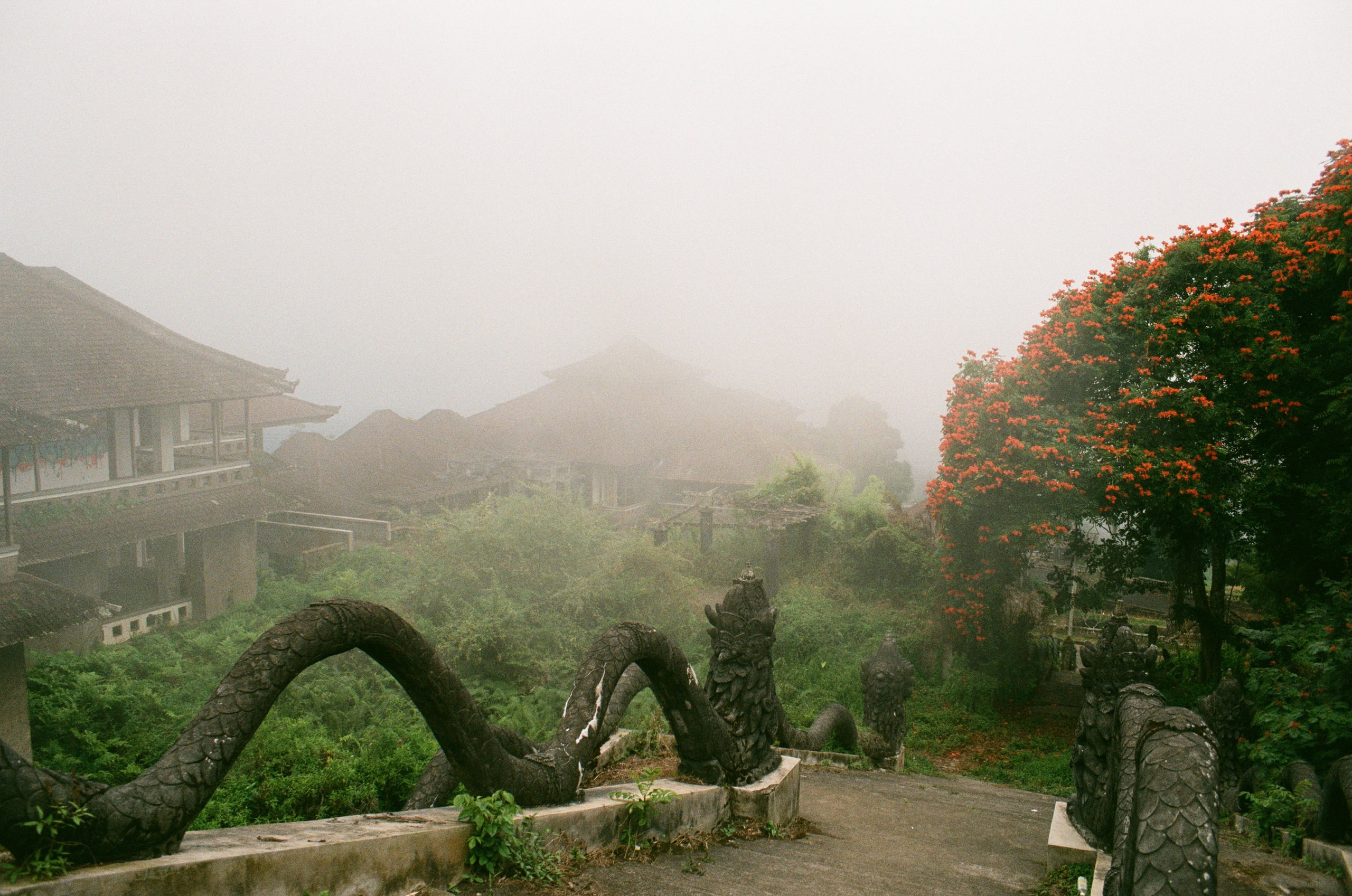 Плёнка. Артем Пучков
