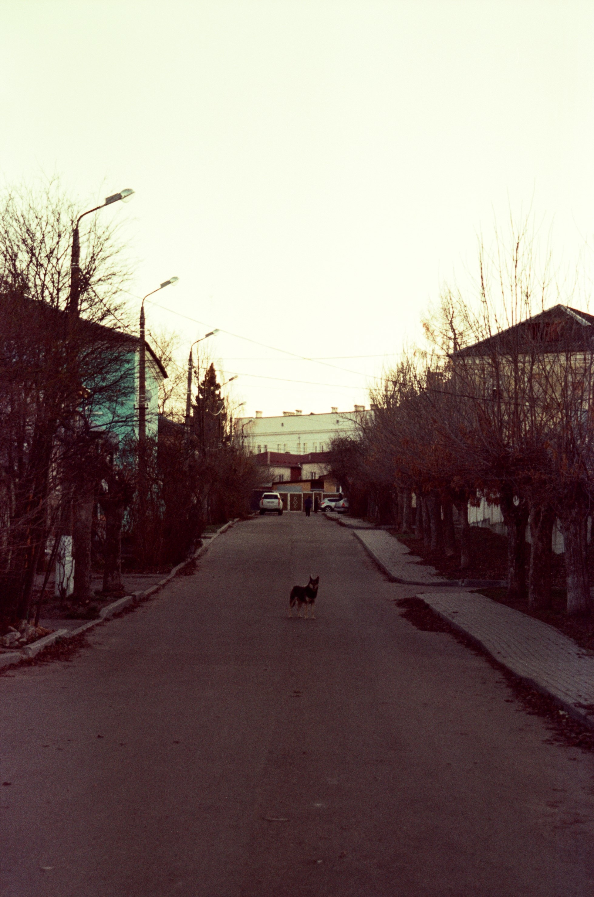 Плёнка. Артем Пучков